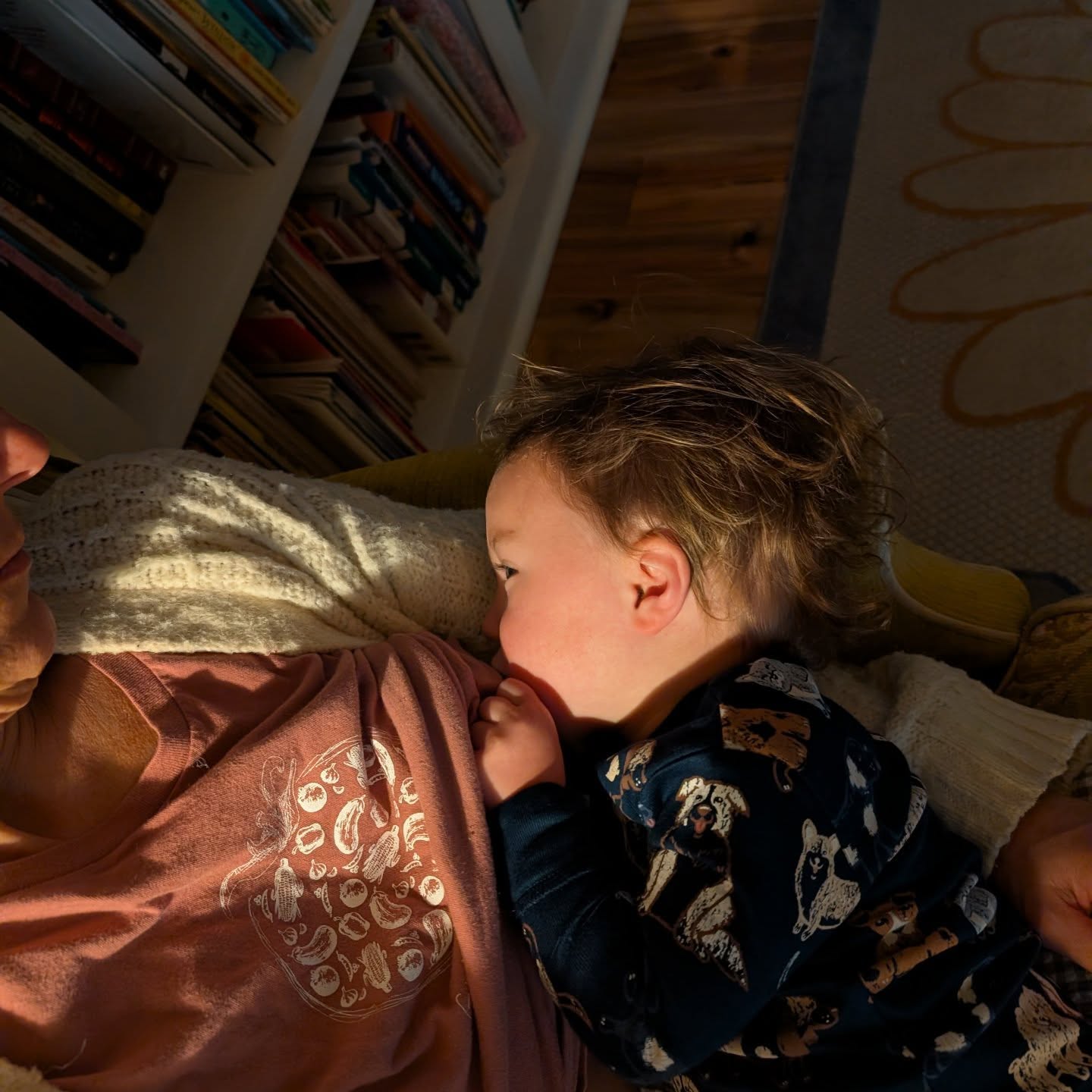 To be a 47 year old grandmother and still nursing my 11th child feels pretty special. â¤ď¸ Well, he is just dry nursing for comfort now at 18 months old. But when he looks at me with that satisfied look of gratitude, or when he falls asleep contented like this, or when he is cold or sad or anxious and comes to Momma's side for warmth and reassurance, I think to myself, this is the most important job in all the world.
â¤ď¸
Julie