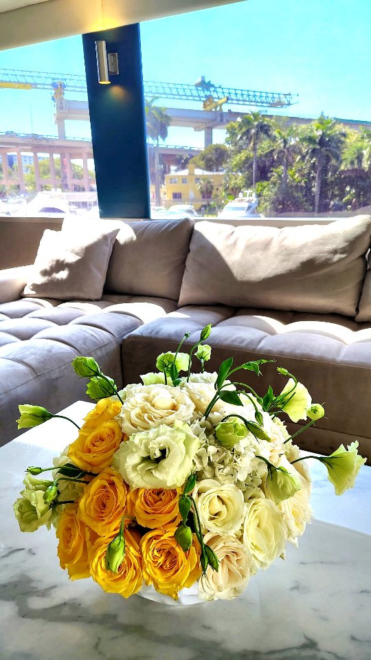 โจ She had NO idea about this 50th birthday surpriseโฆ
Elegant white and yellow flowers ๐ค๐
Luxury details in every corner
A milestone birthday deserves a timeless design.
Turning 50 never looked so stylish โจ
Planning a surprise party in South Florida?
Letโs create something beautiful together.
๐ South Florida
๐ 954-990-4519
#MiamiBirthdayDecor
#MiamiBalloonDecor
#MiamiEventStylist
#BalloonAndFlowerDecor
#SouthFloridaParties