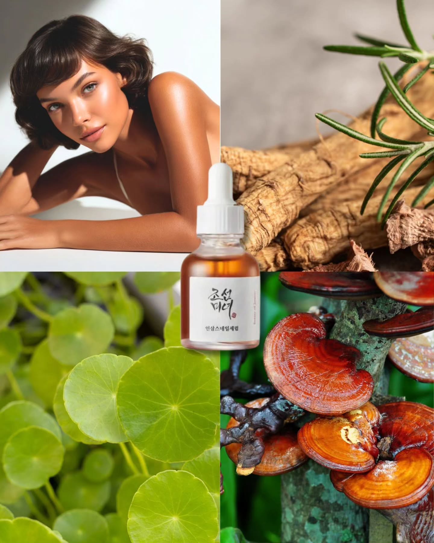 Este es ese serum que tu piel prueba una vez… y no quiere soltar ✨ El Revive Serum: Ginseng + Snail Mucin es hidratación inteligente: ayuda a que la piel se vea más firme, más lisa y con ese glow saludable que no se siente pesado, se siente poderoso.
Si quieres textura más uniforme, piel con vida y ese look cuidado pero effortless… este es el vibe. 💛
#mimelie #Skincare #glassskin