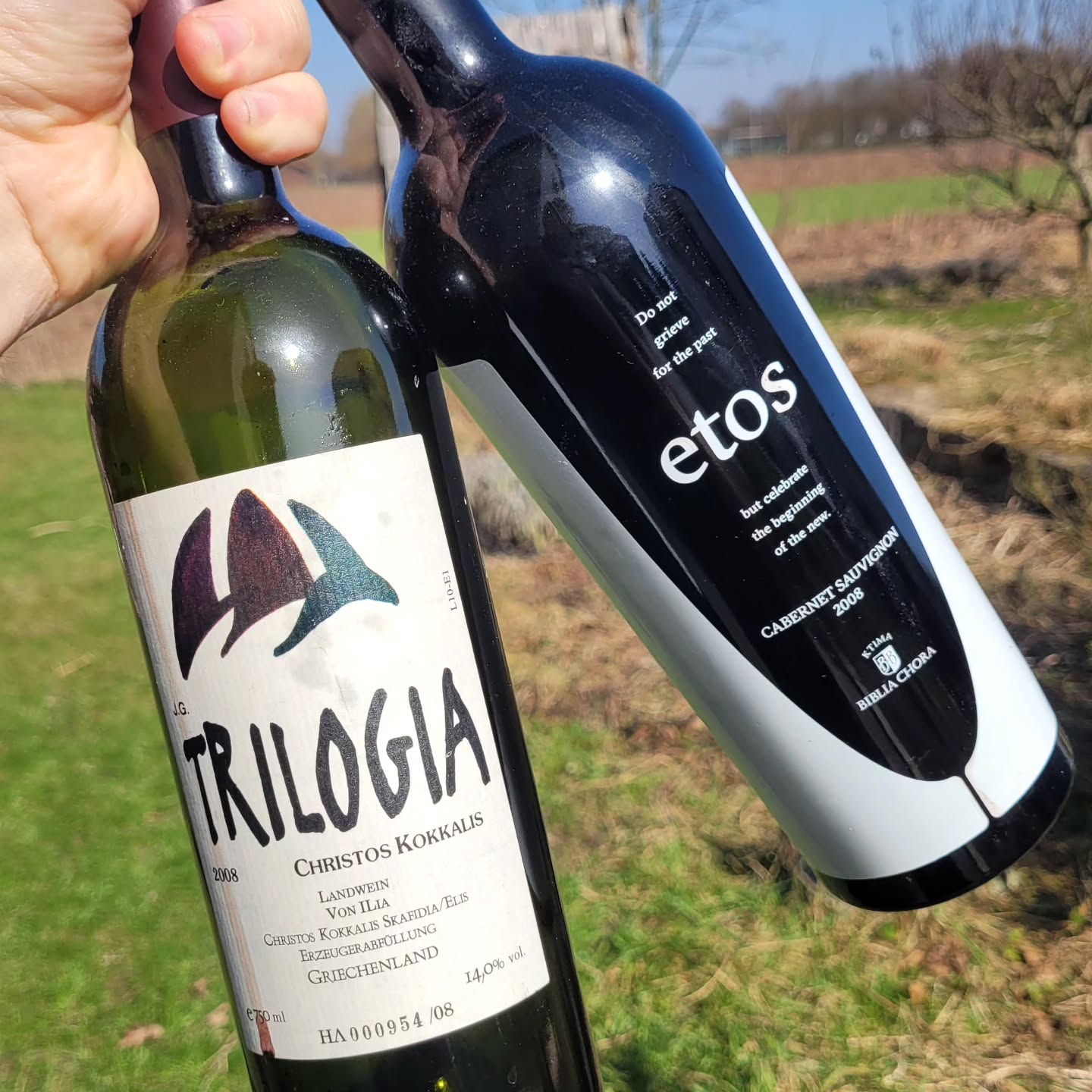 Today we opened two special Greek Cabernet Sauvignons from the 2008 vintage — both single-varietal wines.
The first was Trilogia 2008 from the west coast of the Peloponnese in southern Greece, made by Christos Kokkalis. The second came from Northern Greece, from Pangeon: Etos 2008 by @ktimabibliachora — the very estate that later took over and continued the Trilogia story (@ktimadioipsi ).
Both bottles are very hard to find today, so I was genuinely happy to taste them side by side. I’ve had many vintages of Trilogia over the years. Etos, by contrast, is produced only in special vintages (from diggerent grapesand released only after long ageing. Biblia Chora also makes an excellent “regular” Cabernet Sauvignon under the Ovilos Red label.
Trilogia 2008 is one of the best Trilogia vintages I’ve had. It is clearly better than 2009, and while 2012 has improved a lot in recent years, I don’t think it reaches this level. Right now, 2008 feels fully at its peak. I still don’t think it surpasses the 2006, which remains the best Trilogia I’ve personally tasted at 98 points (I’ve never had the chance to try the truly mythical 1990s vintages). Even with a pessimistic estimate, Trilogia 2008 still scores 96 points for me.
On the nose, it is quintessential old-school Kokkalis: eucalyptus, juniper berry, overripe raspberry and blackberry, and cedarwood. On the palate, the tannins are mellowed and pliant, with a very long finish. It should continue to evolve beautifully over the next decade and beyond.
Etos 2008, by contrast, surprises with real freshness on the nose and textbook blackcurrant. On the palate it shows more smokiness, more acidity, and still very firm tannins. That acidity does a remarkable job of masking the alcohol difference (15% vs. 14%). It is already giving plenty of pleasure; if there is a weakness at the moment, it is a slightly short finish.
I would rate Etos 2008 at 94+ points right now, and I can imagine it one day outperforming Trilogia in international blind tastings. But for lovers of the old Kokkalis wines — for those who want to remember that legend in the glass — a wine like Trilogia 2008 is simply very hard to beat.