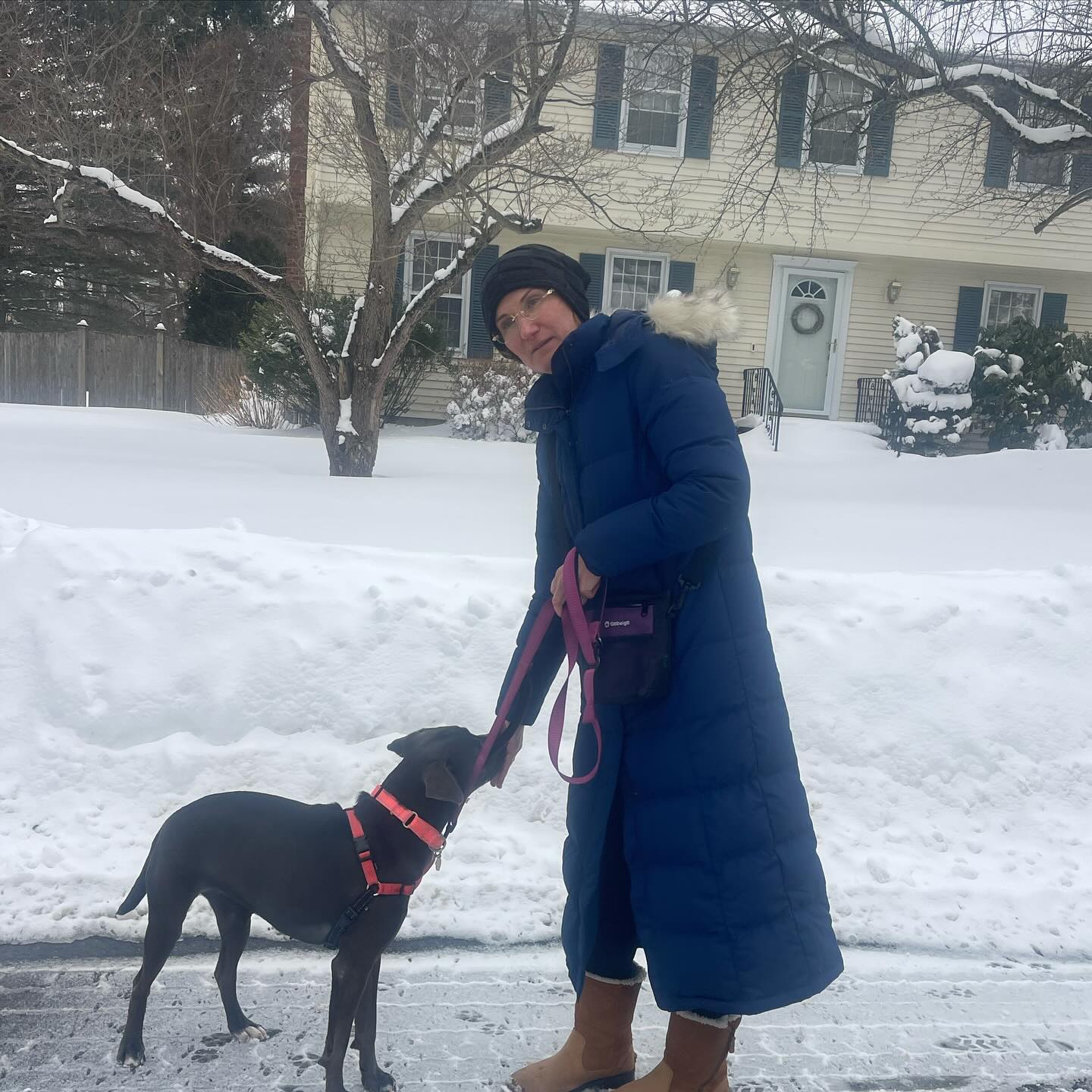Bringing a rescue dog home is a beautiful new beginning — and we’re here to help set everyone up for success from day one. 🐾❄️
At No Dog Too Small, our comprehensive Rescue Integration Training Plans are designed to help your new family member transition smoothly into home life with structure, clarity, and confidence.
Our program includes:
✔️ Loose leash walking skills (even in real-life distractions like neighborhood strolls)
✔️ Crate training to create a calm, safe space
✔️ Polite door greetings (no jumping or rushing!)
✔️ Proper introductions to family members and visitors
✔️ Clear communication and leadership guidance for the entire household
Rescue dogs thrive when they understand expectations. We focus on building trust, consistency, and positive habits right from the start — because training isn’t just about obedience, it’s about relationship.
If you’re welcoming a rescue into your family, let’s create a plan that helps them feel safe, secure, and truly at home. ❤️🐶
Message us to learn more about our Rescue Integration Training Program. Please reach out to Deborah at info@nodogtoosmall.com or call (781)218-9217.#winchesterdogs#rescuedog#dogsofinstagram#dogtrainingexperience#winchesterdogwalker