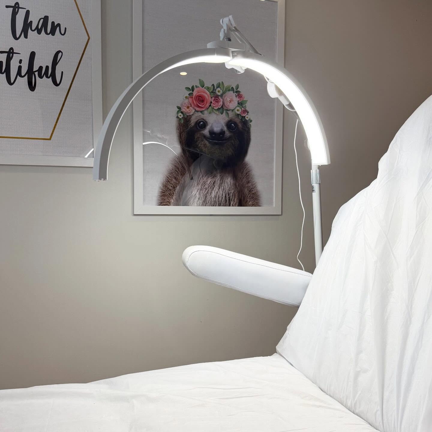 When I angle my new half moon light so that it can look perfectly like the sloth’s crown 👑👸🏽