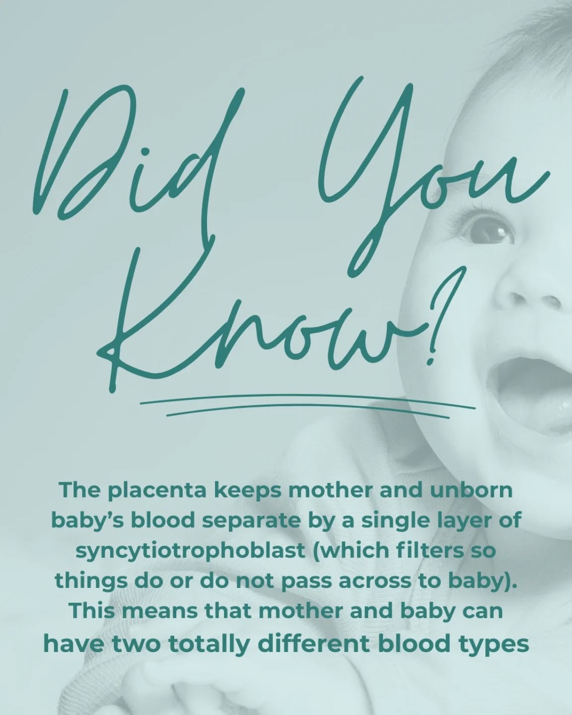 Isn't it beautiful, unknown and incredible how our bodies are designed to grow our new babies! #newborn #pregnancy #birthdoula #birthpower #birthinstinct