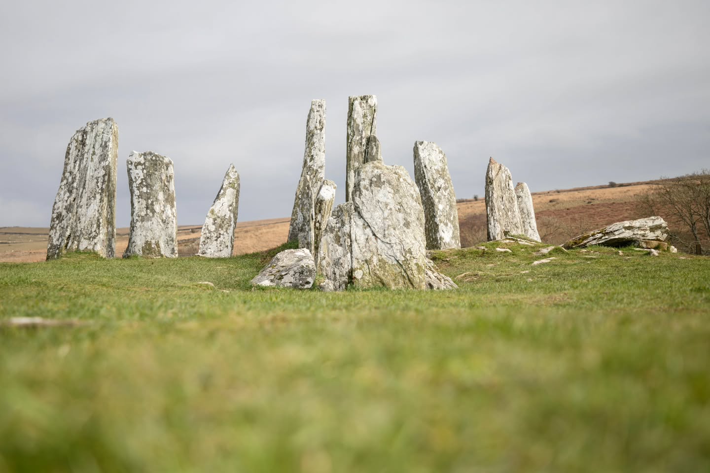 C A I R N H O L Y
The site of two Neolithic chambered tombs near Carsluith, Dumfries & Galloway.
Built in the 4th millennium BC, they are known as Clyde Cairns, the distinctive type of ancient tombs of southwest Scotland 🏴
.
.
.
#travelphotography #landscapephotography #Scotland #history #instadaily