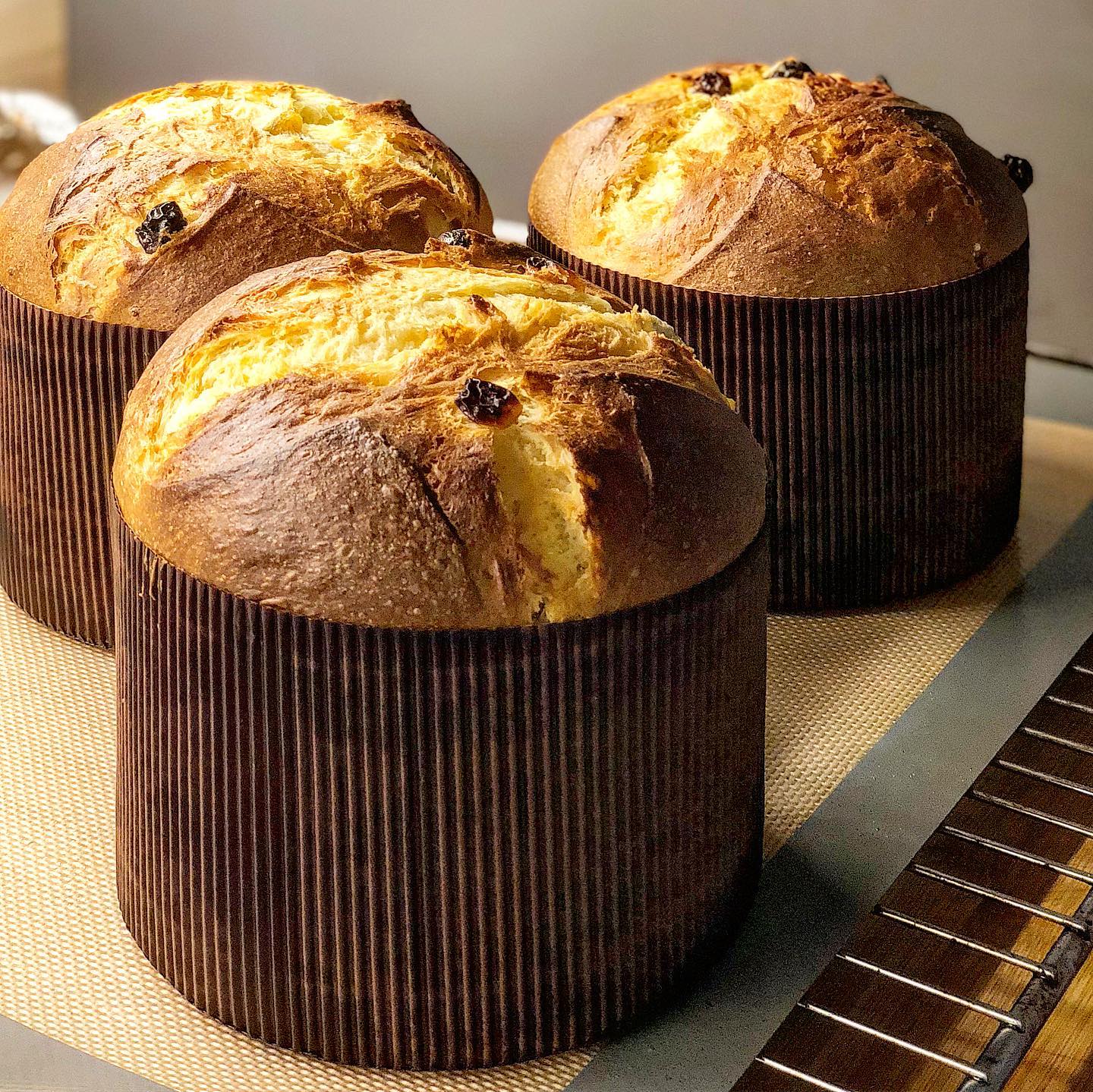 Thank you friends! #FranzPanettone has been a success 🎉 to thank you all, I have decided to share my secret recipe 😍 get ready to enjoy the fluffiness 💦 (a min of experience is required for this recipe)
Recipe for 2 #FranzPanettoni of 500g each:
First dough:
- 300g Manitoba flour
- 90g Sugar
- 105g water
- 90g egg yolk
- 75g butter
- 75g sourdough (optional)
- 5g fresh yeast
Knead flour, water at 22-24C, sugar and yeast until the dough is smooth; then add soft butter, sourdough and egg yolks. Let the dough triple at 28C (you can put it in the oven with the light on).
Second dough:
- 75g flour
- 98g egg yolk
- 68g sugar
- 19g honey
- 113g butter
- 6g salt
- 45g water (optional)
- 150g dark chocolate or raisins
- 2g lemon zest
- 2g orange zest
- 2g vanilla
Knead the first dough with the flour and the aromas. When the dough is smooth add the egg yolks in two times, then add the salt. Now incorporate the soft butter and the water step by step until the right texture is reached. When the dough is compact add the chocolate or the raisins and knead for 2-3min to distribute evenly. Let the dough rest for 30min then cut it in 550g balls. Perform 3 #pirlatura each 30min and then put the doughs in the panettone molds. Let the doughs proof at 28C until they reach the summit of the mold.
Now we are ready to score the panettoni and put a piece of butter in the middle. Then cook them in static oven at 175C for 33min or until they reach 92C in the center.
Let them rest upside down until they are completely cooled and then pack them in a food plastic bag.
Wait 1-2 days before enjoying them, to reach the best flavor 😍
Enjoy them like Italians in the morning with some hot milk 😁