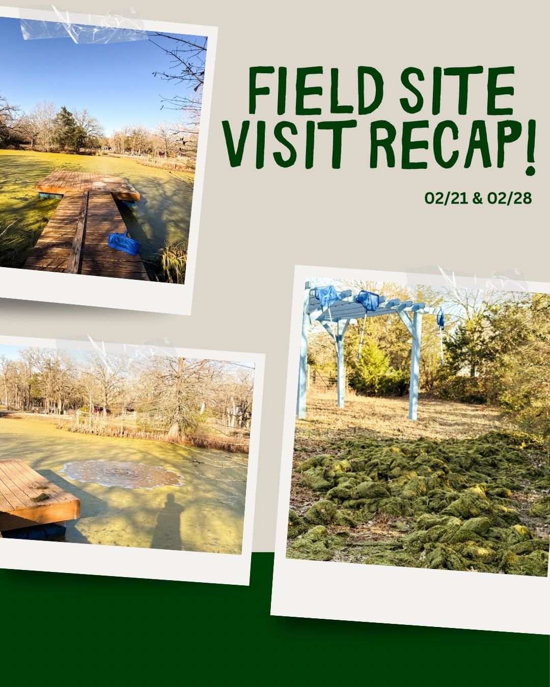 Here is what FIELD has been up to this semester!! (It is not too late to join!)