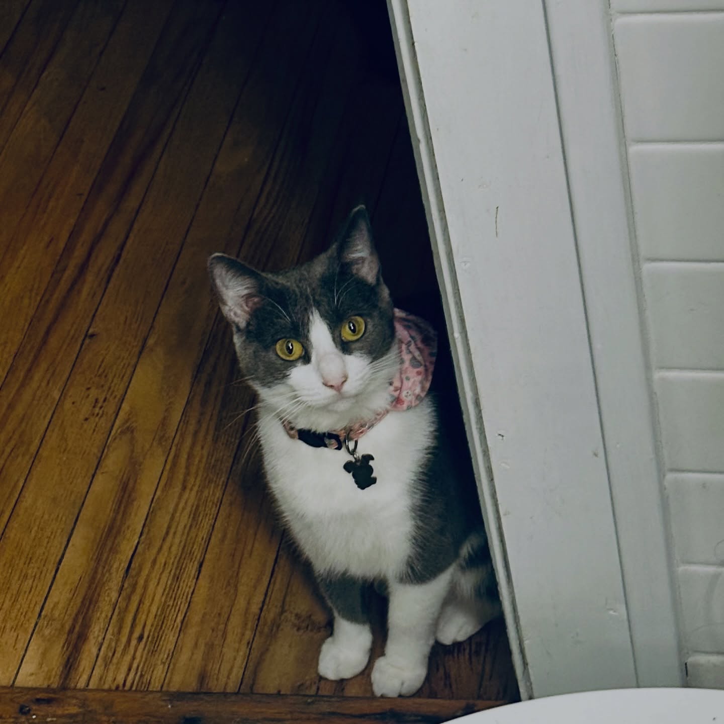 Creepy/cute; The Bathroom Warden.