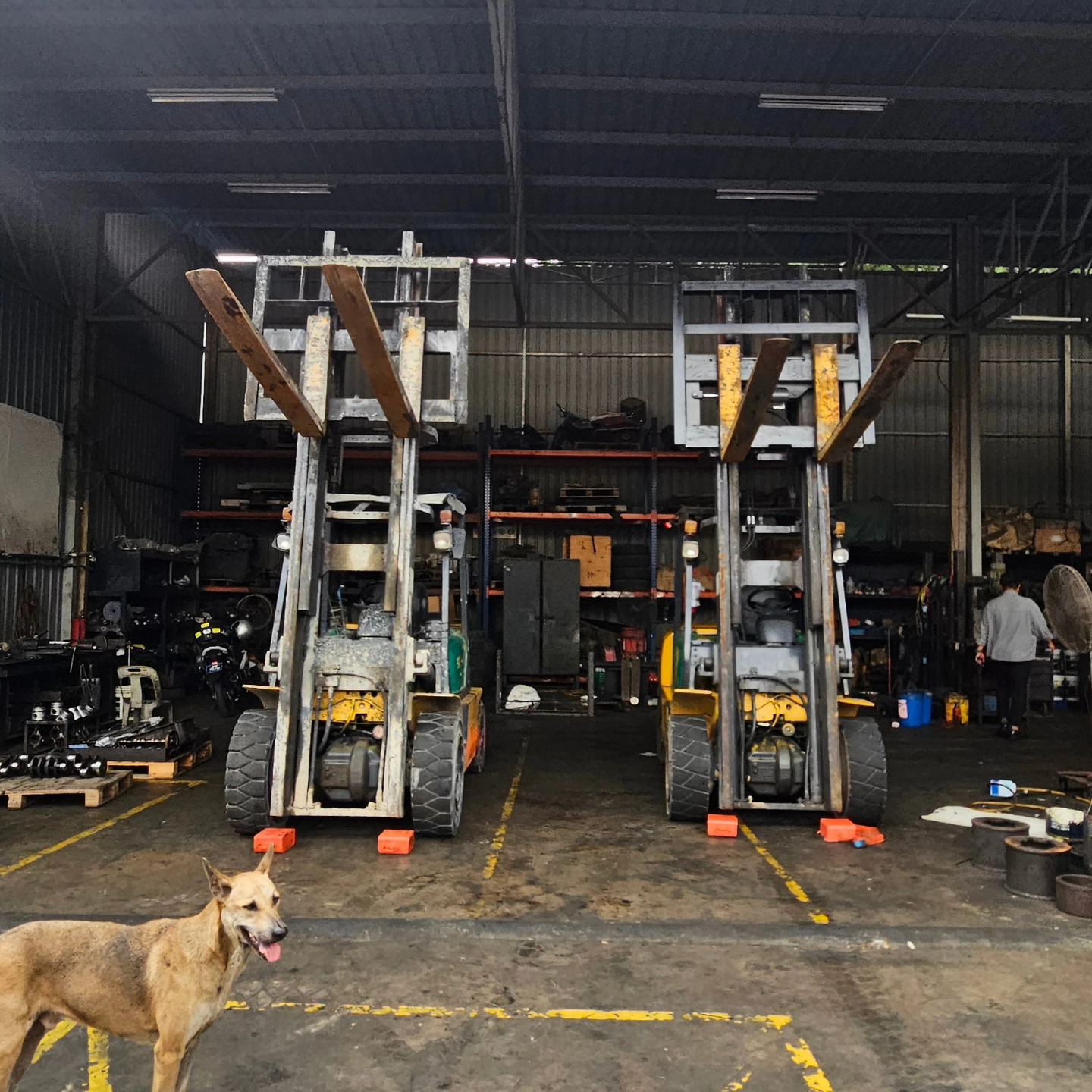 Spot the difference.
#bsforklift
#forkliftrental
#forklift
#forkliftrepair