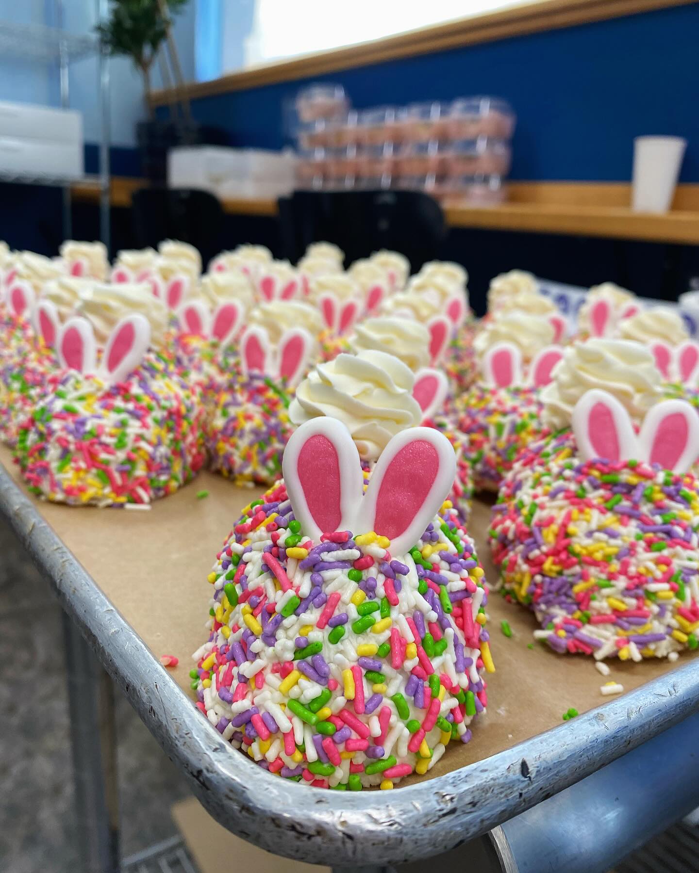 All the spring holidays are heading our way! Order online now for Pi Day (pickup 3.13 and 3.14), St. Patrick’s Day (Irish soda bread available 3/13 - 3/15 & 3/17), and Easter (pickup 4/3 - 4/5). Let’s celebrate warmer days ahead!