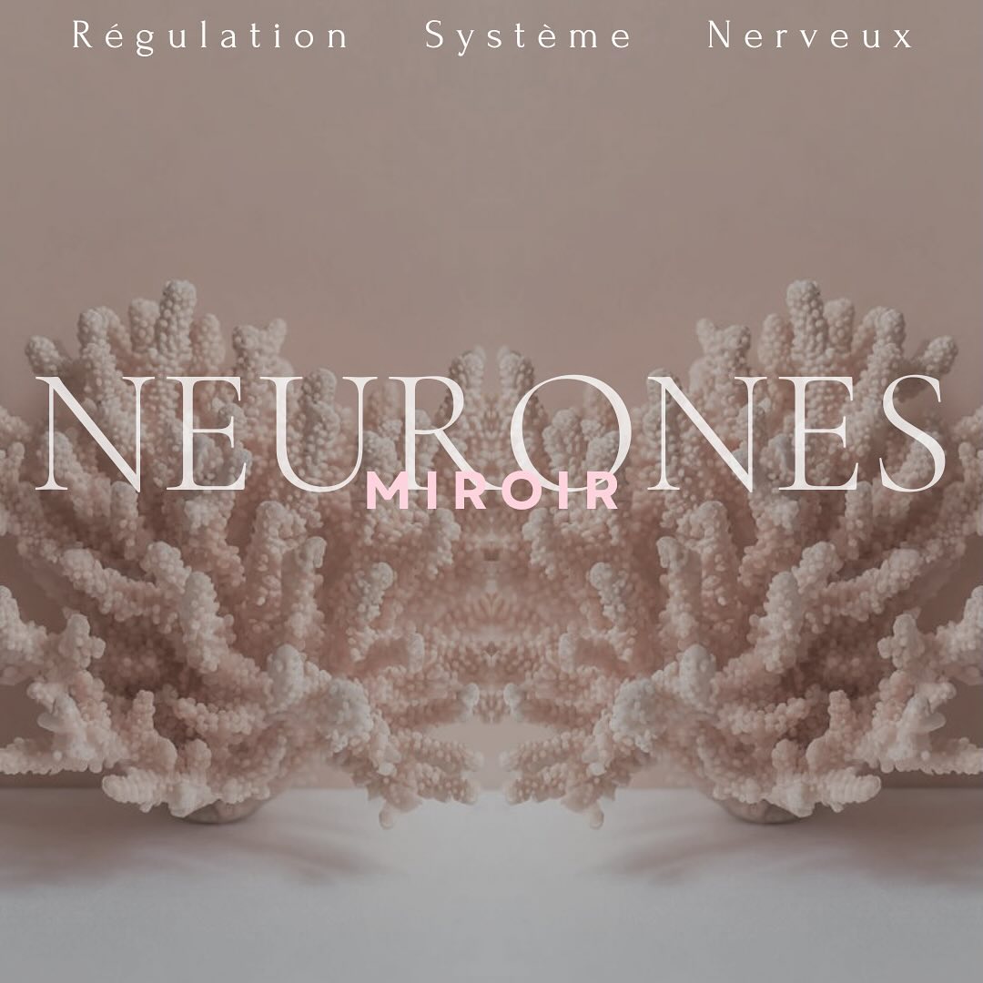⊠Les neurones miroir sont un type particulier de neurones qui sâactivent Ă la fois lorsquâune personne exĂ©cute une action et lorsquâelle observe quelquâun dâautre accomplir cette mĂȘme action. Autrement dit, ces neurones « rĂ©flĂ©chissent » lâaction observĂ©e, comme un miroir, dâoĂč leur nom. Elles font partie intĂ©grante du systĂšme nerveux et se trouvent prĂ©cisĂ©ment dans le cortex prĂ©moteur (impliquĂ© dans la planification des mouvements),
le cortex pariĂ©tal (impliquĂ© dans lâintĂ©gration sensorielle et la comprĂ©hension des actions) ainsi que le cortex insulaire et le systĂšme limbique, tous deux associĂ©s Ă lâempathie et aux Ă©motions.
đȘLes neurones miroirs ont Ă©tĂ© dĂ©couverts pour la premiĂšre fois dans les annĂ©es 1990. Il sâagit dâune dĂ©couverte majeure en neurosciences car ils jouent un rĂŽle central dans la cognition sociale (ensemble des processus cognitifs comme la perception, la mĂ©morisation, le raisonnement, les Ă©motions...
đđŒSwipez pour dĂ©couvrir leur rĂŽle et leur importance dans diffĂ©rents aspects du comportement humain et de la cognition.
đȘžAu cours de la vie, il est possible de perdre en qualitĂ© de neurones miroir. Cependant, le cerveau humain est dotĂ© dâune capacitĂ© remarquable appelĂ©e neuroplasticitĂ© (facultĂ© du cerveau Ă rĂ©cupĂ©rer et Ă se restructurer). GrĂące Ă une rĂ©gulation du systĂšme nerveux, il est donc possible dâamĂ©liorer la performance fonctionnelle des neurones miroir.
âĄ
.
.
#selfcare #selflove #body #bienetre #etrebien #conditionphysique #care #equilibre #amatherapeute #montpelliersud #holistique #holisme #global #montpellier #therapeute #therapie #mieuxetre #neurones #neuronesmiroir #plasticite #cerebrale #brain #regulation #systemenerveux