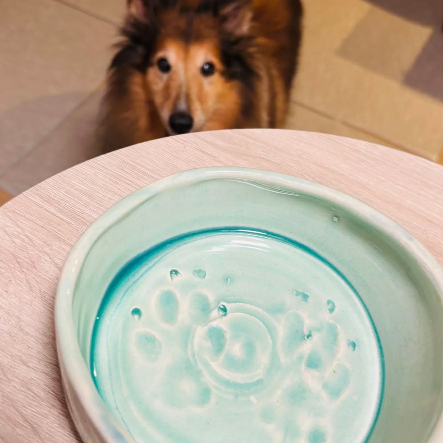 🐾Paw-fectly made, just like this good girl🐾
This ceramic bowl was made on the wheel in our Children's Pottery Class.
#pawprints #hongkongdog #ceramicbowl #hongkonglifestyle #petlovers❤️