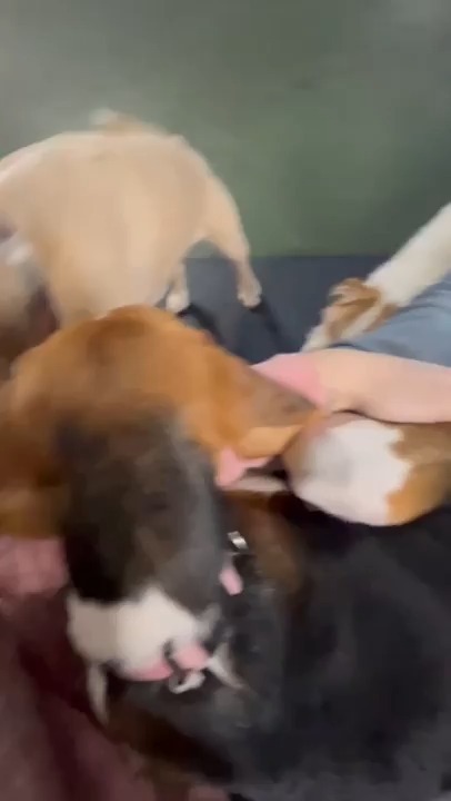 Daycare snuggles