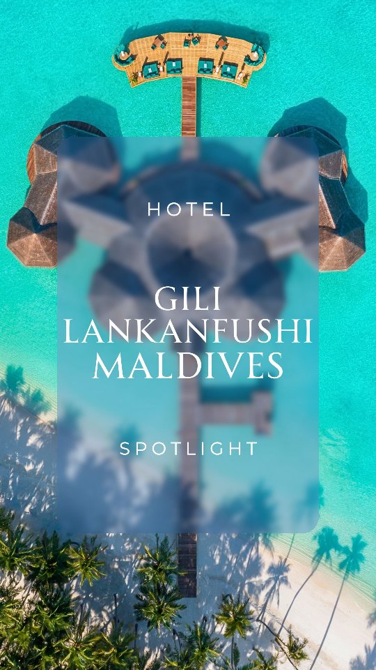 At 𝐆𝐢𝐥𝐢 𝐋𝐚𝐧𝐤𝐚𝐧𝐟𝐮𝐬𝐡𝐢 in the 𝐌𝐚𝐥𝐝𝐢𝐯𝐞𝐬, luxury is defined by simplicity, privacy, and extraordinary care.
With just 𝟒𝟓 𝐨𝐯𝐞𝐫𝐰𝐚𝐭𝐞𝐫 𝐯𝐢𝐥𝐥𝐚𝐬, this iconic resort offers a rare sense of space - where turquoise lagoons stretch endlessly and every stay is thoughtfully tailored to you. Known for its philosophy of 𝐞𝐜𝐨-𝐥𝐮𝐱𝐮𝐫𝐲, Gili blends barefoot elegance with deeply personalized service.
𝐓𝐡𝐞 𝐫𝐞𝐬𝐮𝐥𝐭? One of the most serene and restorative escapes in the world.
For travelers considering the Maldives this year, there are multiple international routing options beyond Dubai and Abu Dhabi connecting seamlessly to Malé, and travel to the destination is currently considered safe.
When you’re ready to experience the Maldives at its most refined, we’ll handle every detail - from international routing to your private seaplane arrival.
Click the link in bio to set up a chat with @SpearTravelGroup to begin planning. 🌴
@gili.lankanfushi
_____________
Travel well. Travel with intention.
#GiliLankanfushi #MaldivesLuxury #LuxuryIslandEscape #EcoLuxury #VirtuosoTravel LuxuryTravelAdvisor IndianOceanEscape