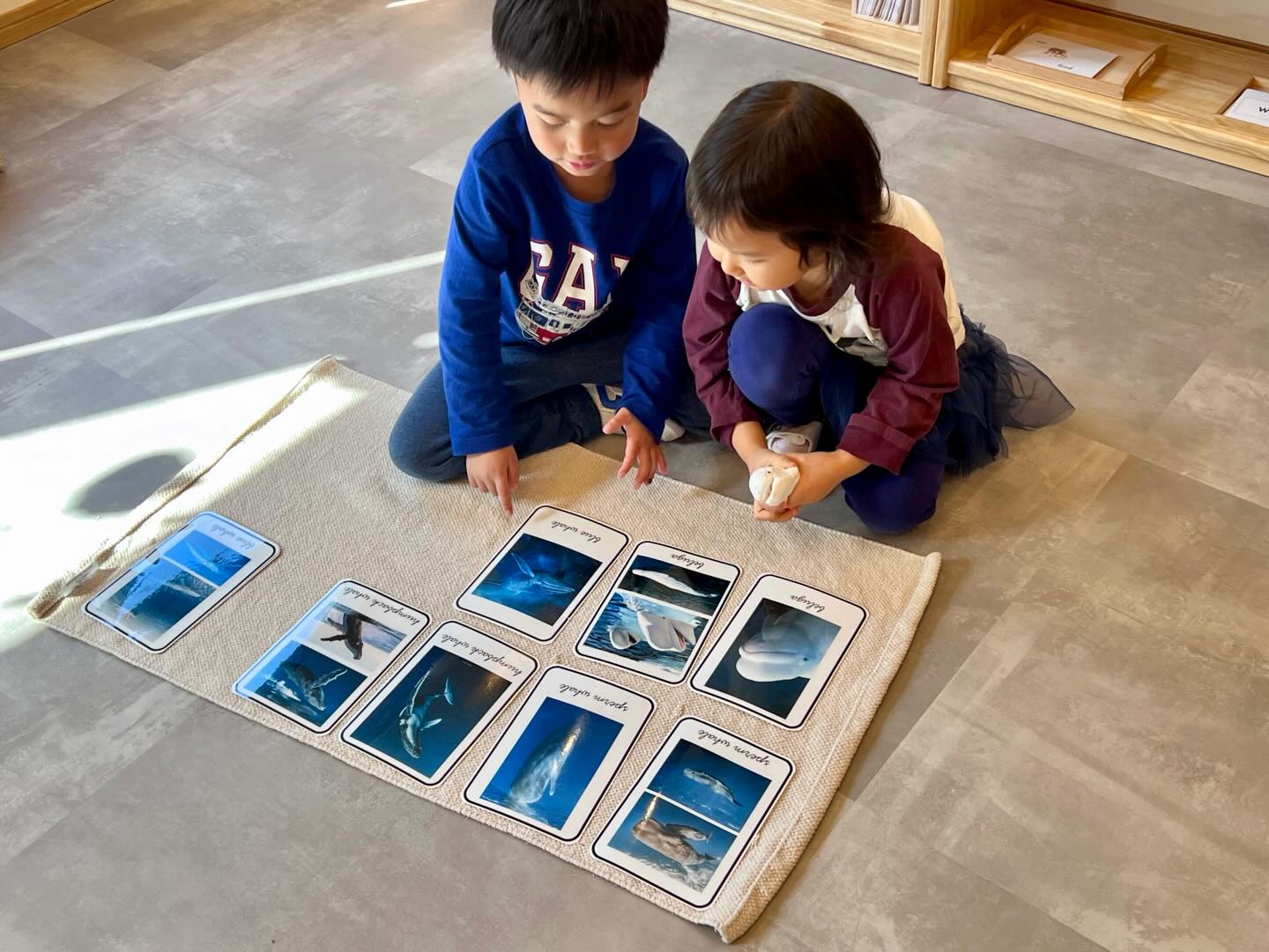 Language is woven gently into our days — rich conversations, classified cards, storytelling, and phonetic exploration. Vocabulary grows naturally when children are surrounded by meaningful words.
Save for language inspiration!