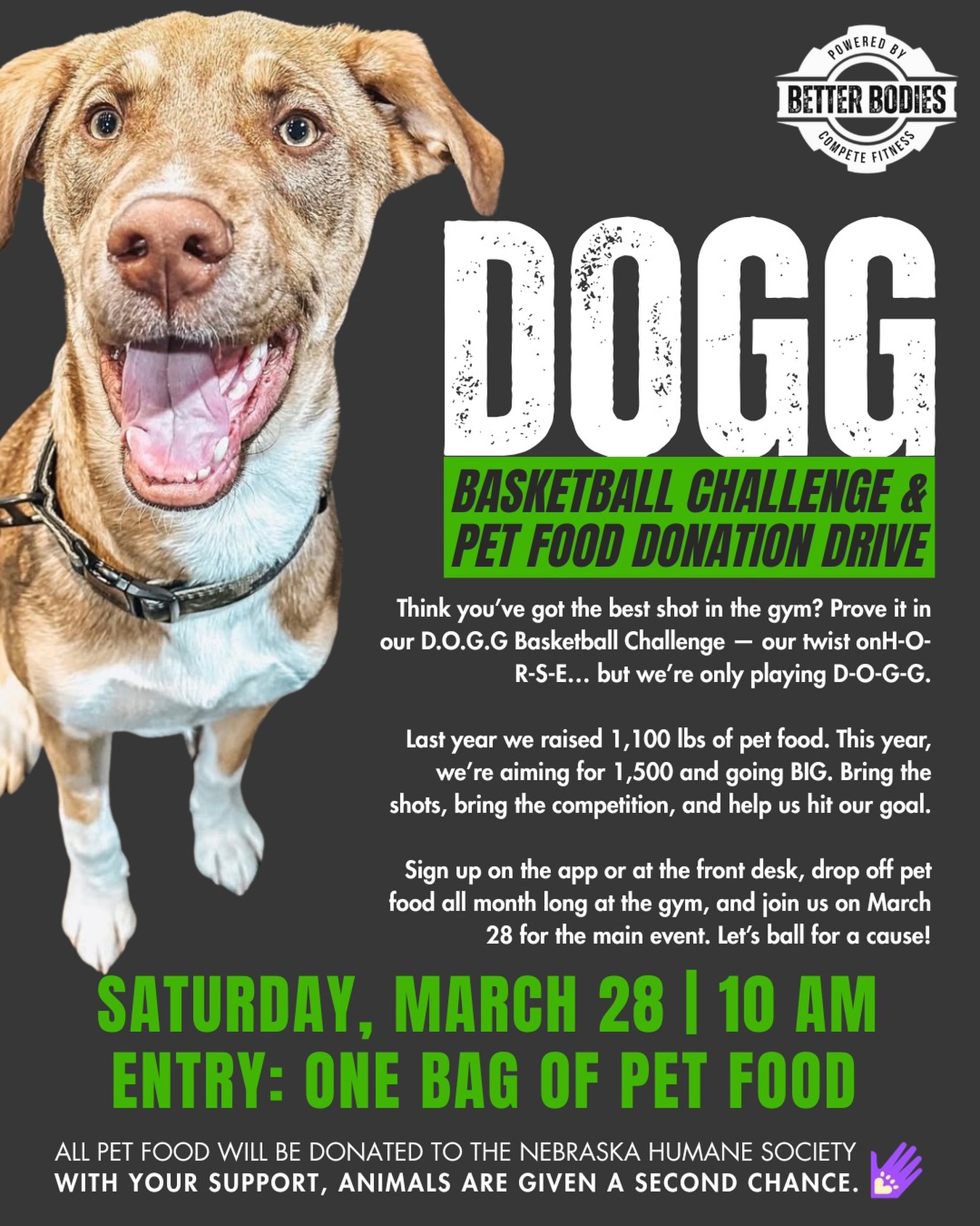 Think you’ve got the best shot in the gym? 🏀🐾
Prove it at our 4th Annual D.O.G.G Basketball Challenge & Pet Food Donation Drive!
Bring a bag of pet food, compete in our D-O-G-G basketball challenge, and help us raise food for animals in need. Last year we collected 1,100 lbs of pet food — this year we’re aiming even higher for 1,500 lbs! 😁
🏆 The winner gets their name on Jackson’s Memorial Trophy and their bracket displayed in the gym for the entire year.
📅 Saturday, March 28
⏰ 10 AM
🎟 Entry: One bag of pet food
All donations go to the Nebraska Humane Society. Sign up on the app or at the front desk and let’s ball for a cause. 🐶
#betterbodiesomaha #omahagyms #petfooddrive #gymtime #fitnesscommunity