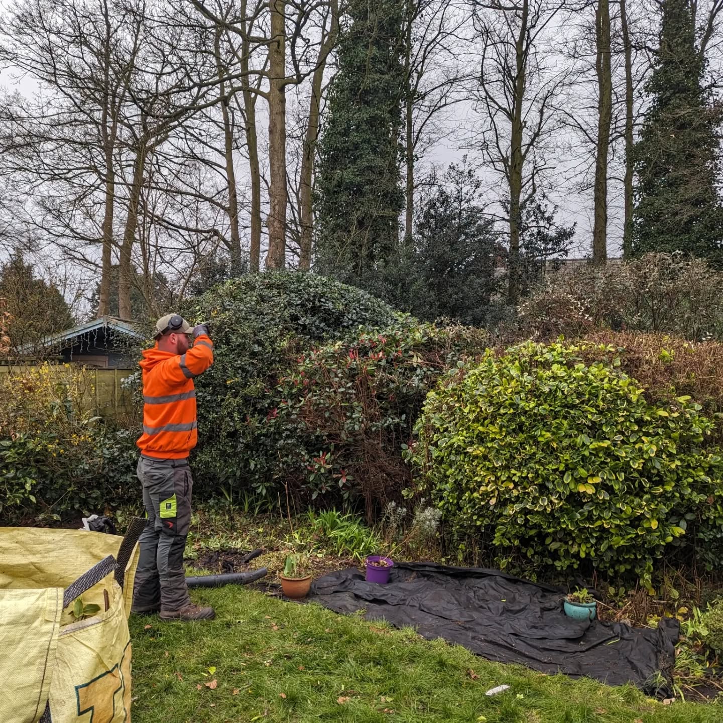 It's been a good week of trimming, reductions and a very hands on approach to Forestry First Aid training!
🌳 Full tree removals
🌳 Dead and dangerous limb removals
🌳 Crown reductions
🌳 Crown lifting
🌳 Thinning and deadwooding
🌳 Hedge cutting
🌳 Hedge reductions
🌳 Stump grinding
Contact Josh:
Email: hello@thecheshiretreecompany.co.uk
Tel: 07960733746