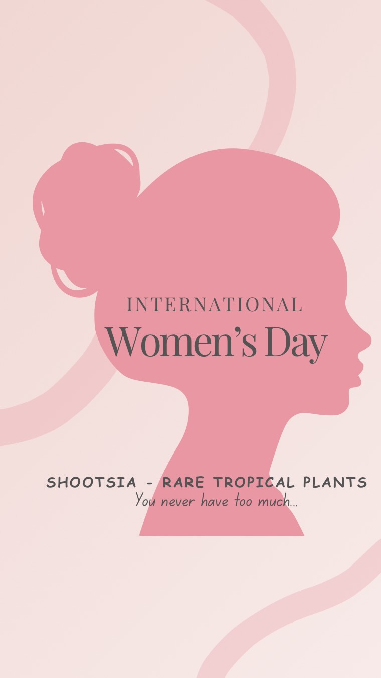 Happy International Women’s Day 🌸
Today I’m naming one of my plants Josephine, after my mom, a woman of resilience, integrity, and above all, my hero.
When I look at this Alocasia Pink Dragon Variegated, I cannot help but think of her. This plant arrived small and humble, yet she surprised me by giving nine babies 😱. One after another, she kept producing new life, generously sharing her energy, just like my mom who became a mother nine times, and I am the ninth and the youngest.
After giving so much, she paused, and for the first time she chose to grow something just for herself. Her first huge leaf is slowly unfurling, and somehow it reminds me of my mom, now resting peacefully in Heaven.
Two mothers.
Both generous.
Both strong.
Both beautiful.
Happy International Women’s Day to all the women who nurture, build, and grow life around them. 🌸
Shootsia, Rare tropical plants
You never have too much…
#InternationalWomensDay #WomensDay #ottawaplants #alocasiapinkdragon #ottawasmallbusiness ottawasmallbusiness