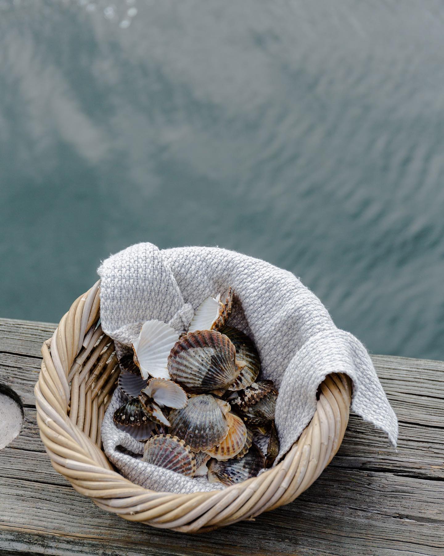 Entering scallop season π€€
.
Shot for @nantucketlooms with @crunantucket