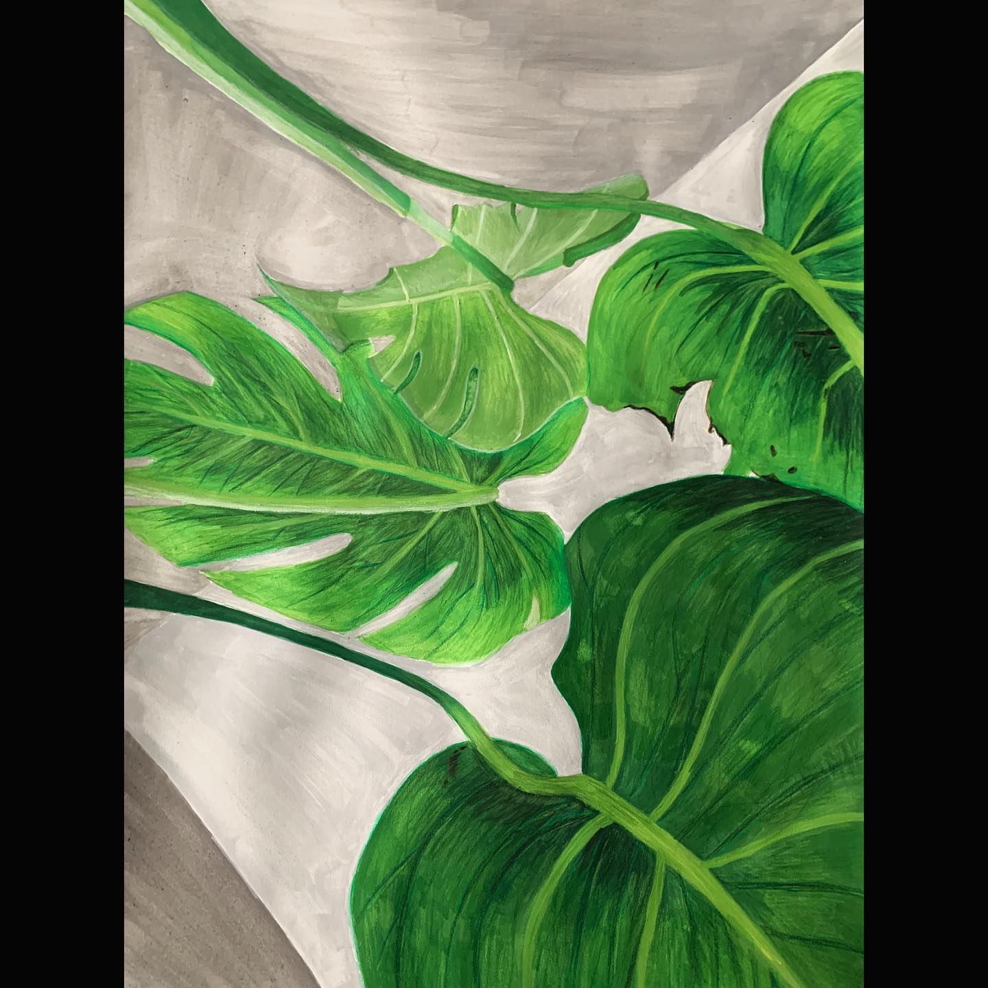 Some drawings of my Drawing I class🎨
-
Involving different mediums such as gouache, watercolor,charcoal, pencil, markers, pastels, etc.
-
That’s are just a few from that class. I’ll be posting Design I class in a bit.
-
#art #artwork #plants #oc #charcoal #pencil #watercolorpainting #goauche #alcoholmarkers #pastels #drawingclass #portfolio #traditionalart #artist