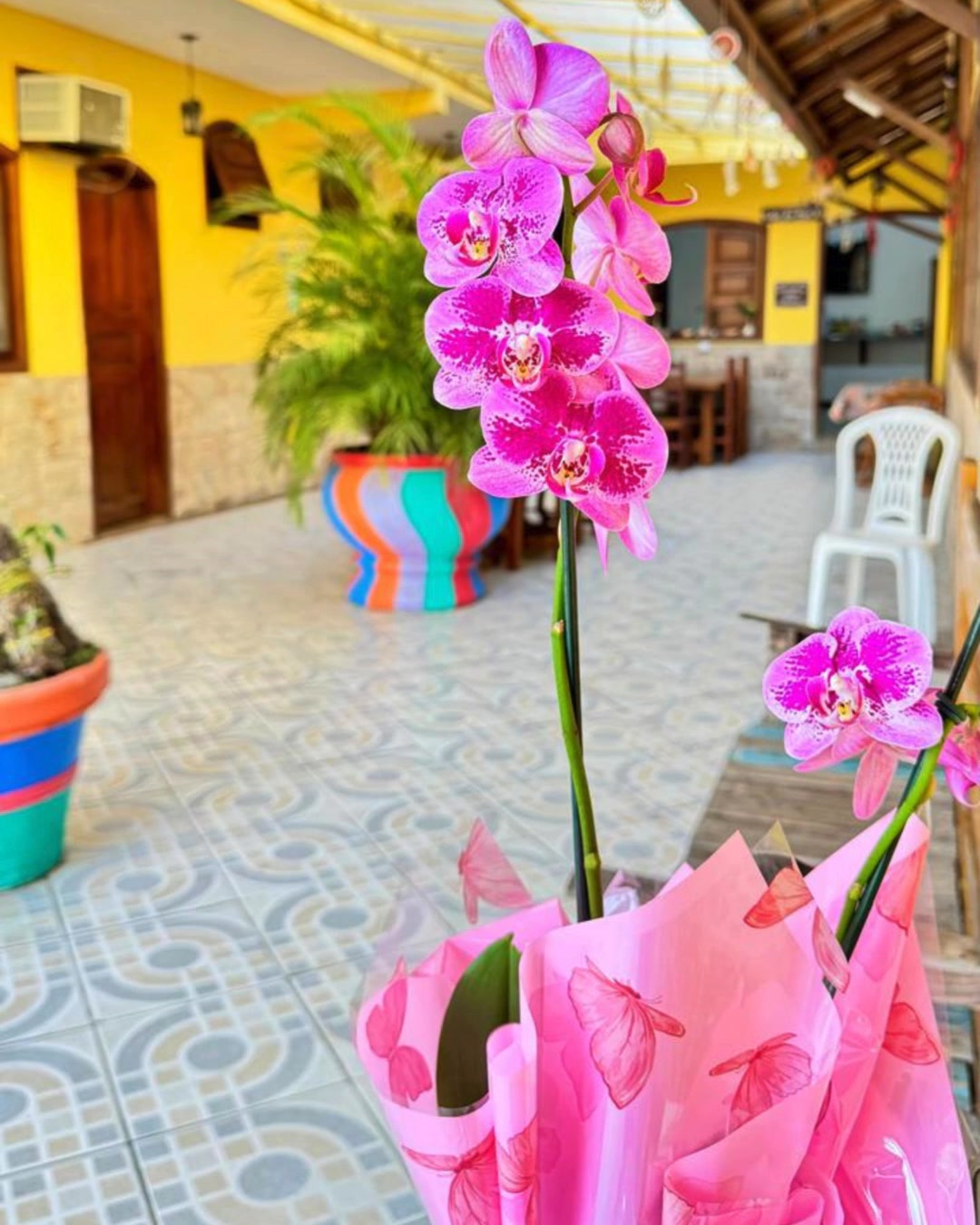 Hoje celebramos a força, a sensibilidade e a coragem de todas as mulheres. 🌷
Mulheres que sonham, que trabalham, que cuidam, que viajam e que transformam o mundo todos os dias com sua presença e sua história.
Que cada mulher encontre tempo para se cuidar, descansar e viver momentos especiais. ✨
A Pousada Parque Imperial deseja um feliz Dia Internacional da Mulher para todas as mulheres incríveis que passam por aqui e para todas que fazem parte da nossa história.
Nós merecemos celebrar todos os dias! 💐
#diadamulher
#felizdiadamulher
#diainternacionaldamulher
#mulheresincriveis
#paraty
#paratyrj
#pousadaemparaty
#pousadaparqueimperial
#turismoemparaty