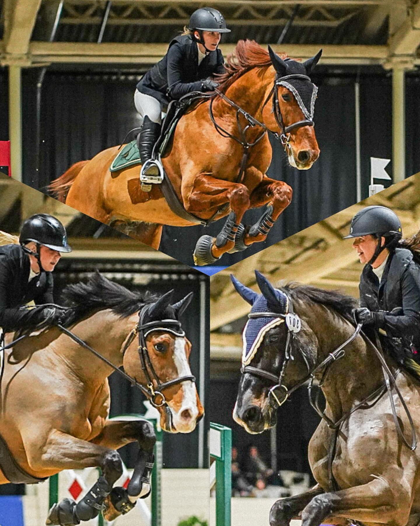 Winter Farewell! Three SugarTide riders stepped into the ring at Spruce Meadows this week and gained some great mileage and experience. Every round is part of the process and we’re proud of the effort and determination shown in all their rides.
Thanks as usual to @siphonophoid for all the gorgeous photos capturing the great moments for us - and @dpederson_eq for the time, care and effort she puts in to supporting everyone through each round. 💜
Looking forward to next week as another group of SugarTide riders heads to Spruce to take their turn in the ring at the Spring Welcome!