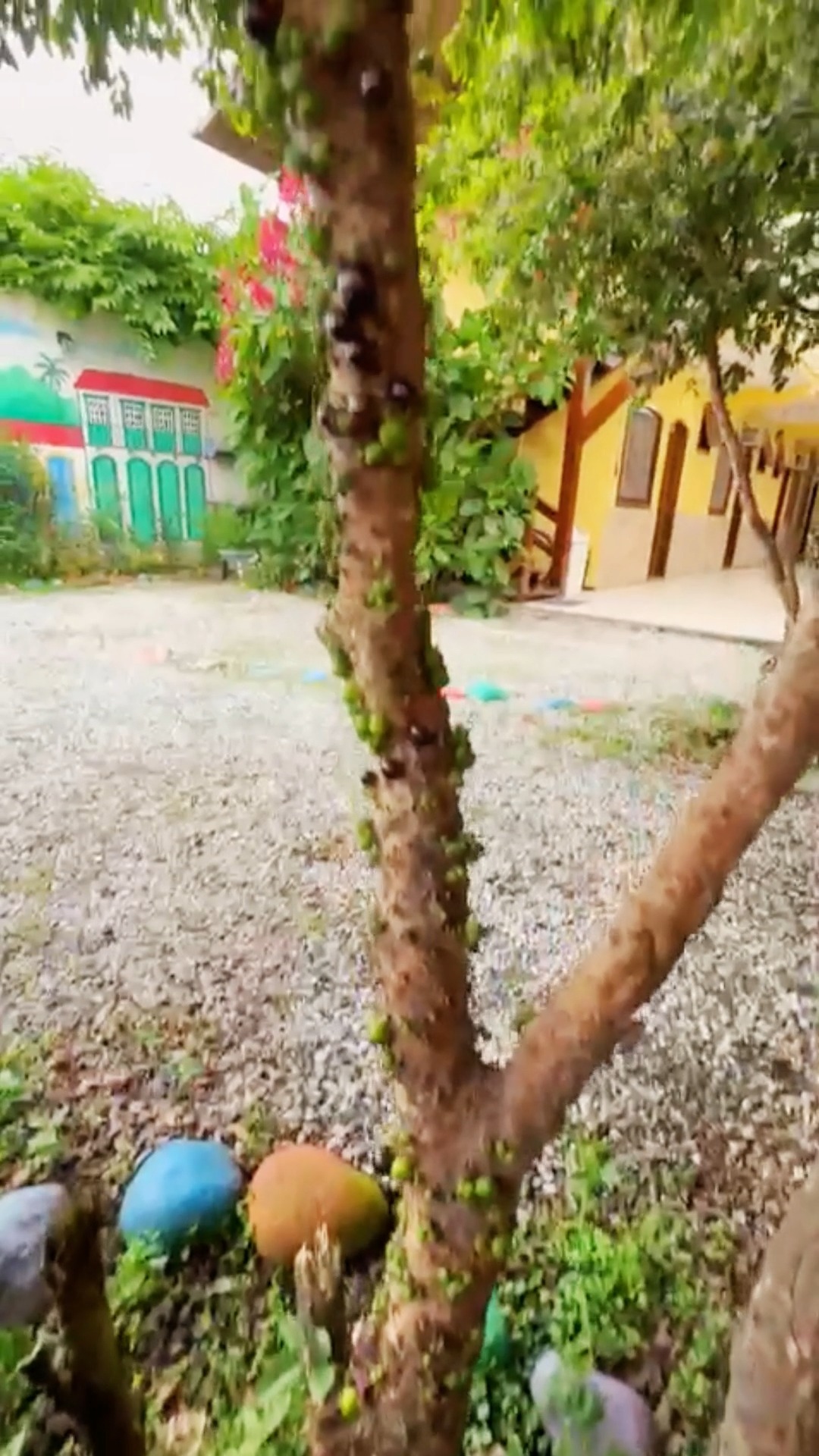 Entrando na Pousada Parque Imperial para você sentir um pouquinho de como é se hospedar aqui.
Sem cortes, sem filtros… apenas o caminho até um dos nossos quartos. 🏡✨
Ambiente tranquilo, familiar e pertinho do centro histórico de Paraty.
Venha viver essa experiência também!
📲 Faça sua reserva e venha descansar em Paraty.
#paraty
#paratyrj
#pousadaemparaty
#hospedagemparaty
#viagemparaty
#turismoemparaty
#visitparaty