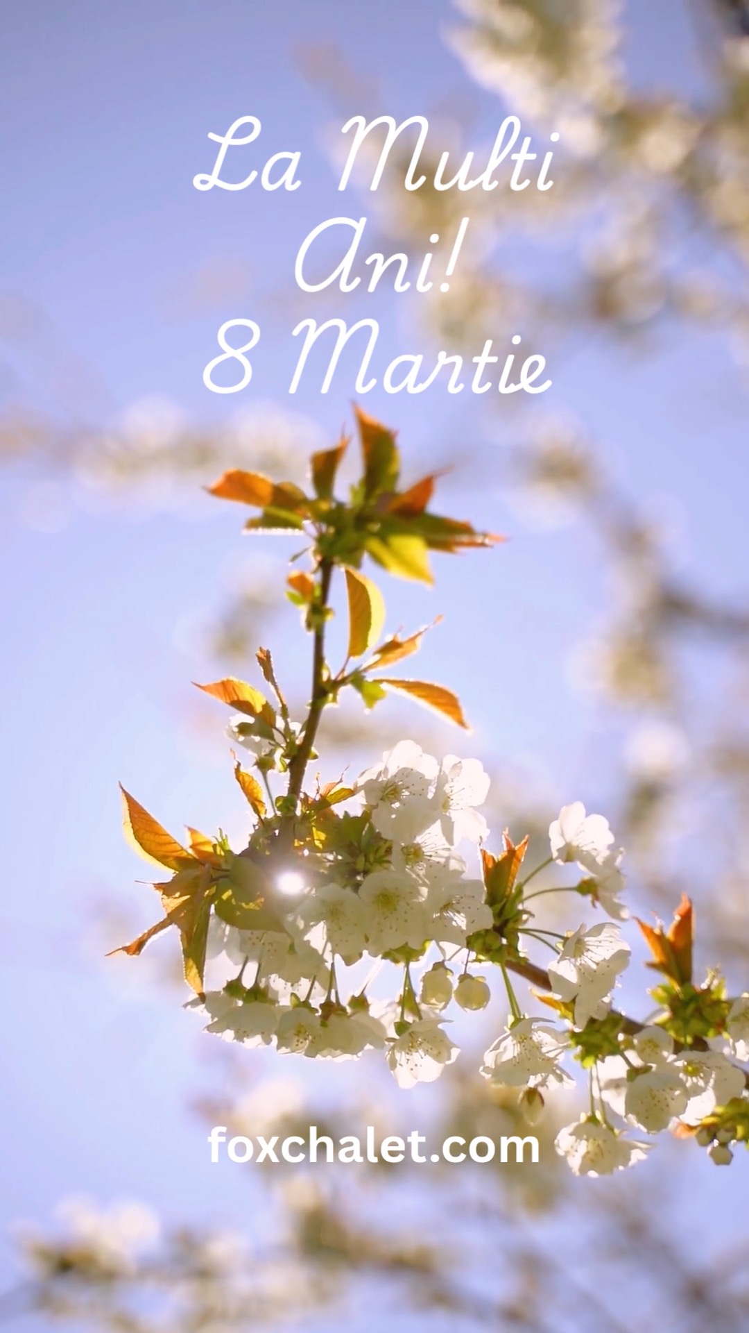 🇷🇴
Astăzi sărbătorim puterea, energia și blândețea pe care femeile o aduc în lume.
La mulți ani de 8 Martie din partea echipei Fox Chalet. Vă dorim zile pline de aer curat de munte, mese împreună cu cei dragi și momente de tihnă binemeritată.
Vă așteptăm în Bucovina.
🇬🇧
Today we celebrate the strength, warmth, and quiet magic that women bring to the world.
Happy March 8th from all of us at Fox Chalet. May your days be filled with fresh mountain air, laughter around the table, and moments of well-deserved rest.
Come celebrate with us in Bucovina.
🔗// Learn more in our bio link
#FoxChalet | #FoxChaletBucovina | #WomensDay | #March8 | #Bucovina | #VisitBucovina | #RomaniaTravel | #MountainRetreat | #SlowTravel #8martie #lamultiani #ziuafemeii #regenerativetravel #cazareinbucovina