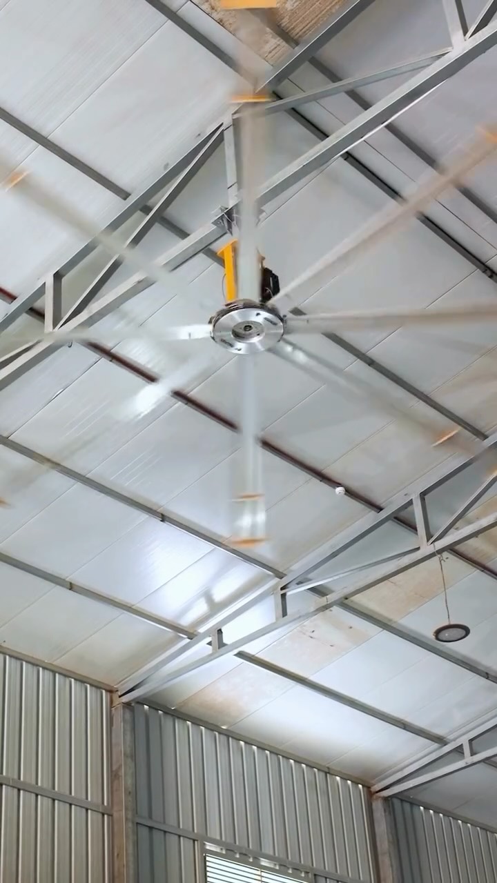 While everyone’s vibe-coding this weekend,
we’re on a different vibe.
📹 @shimrit_sh