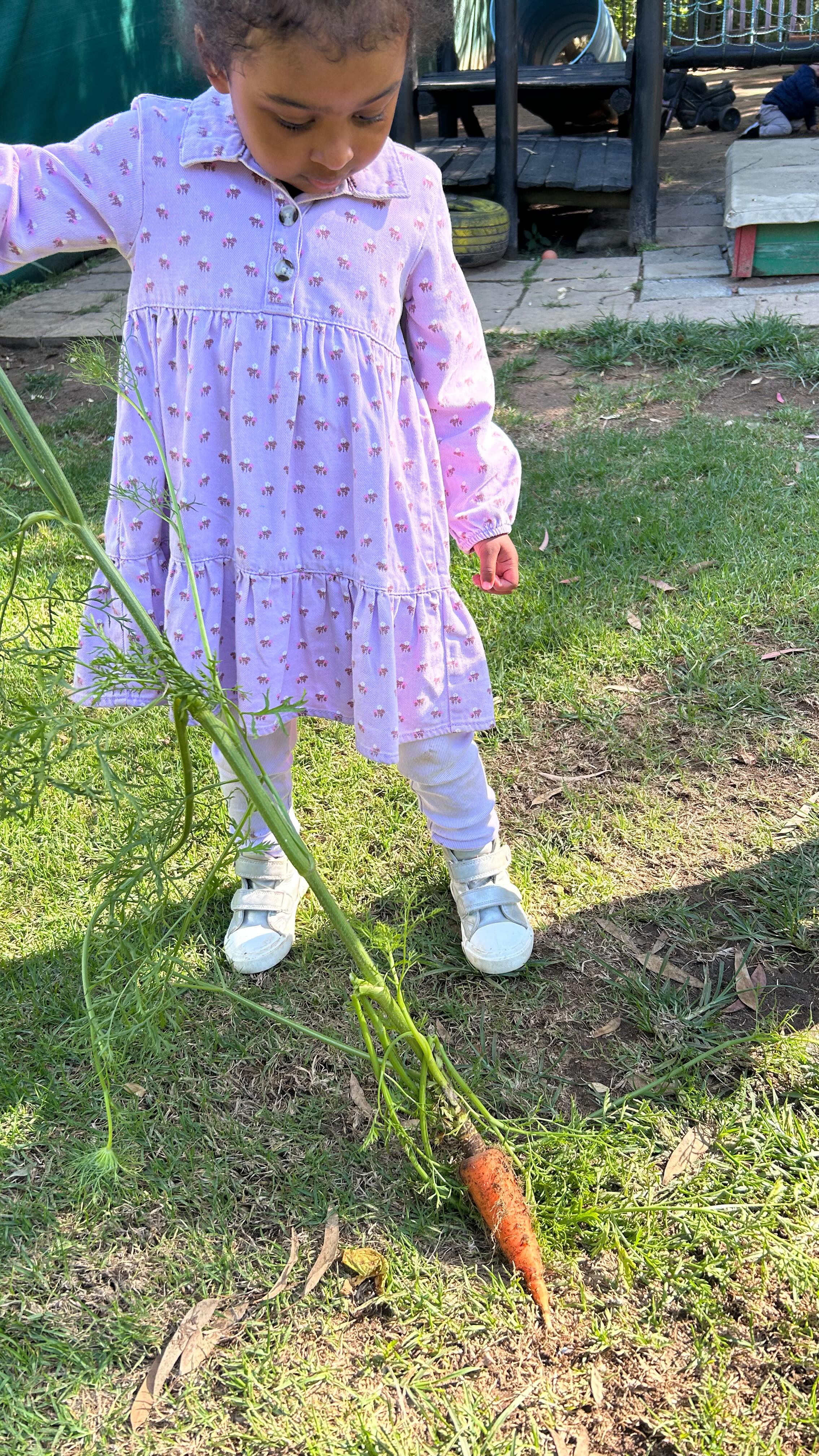 Watching a carrot grow from seed to something the children can harvest and prepare is truly a meaningful experience🥕#preschool #montessoripreschool #playgroup #education #earlychildhooddevelopment