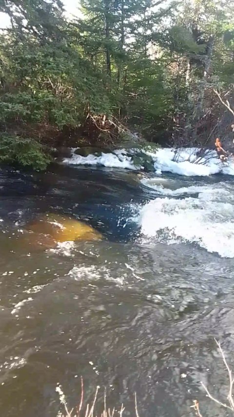 The big rock getting a good wash! 💙
