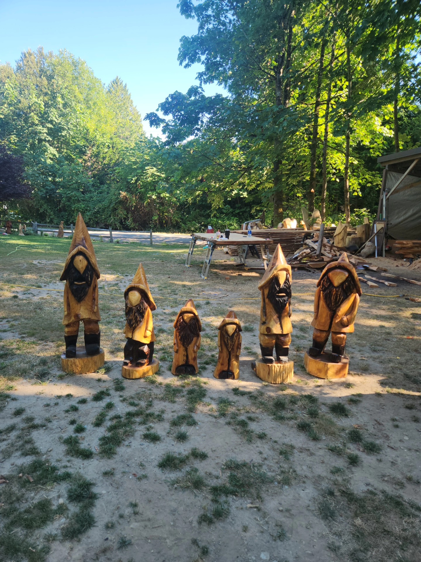 Gnomes available 7/28/25