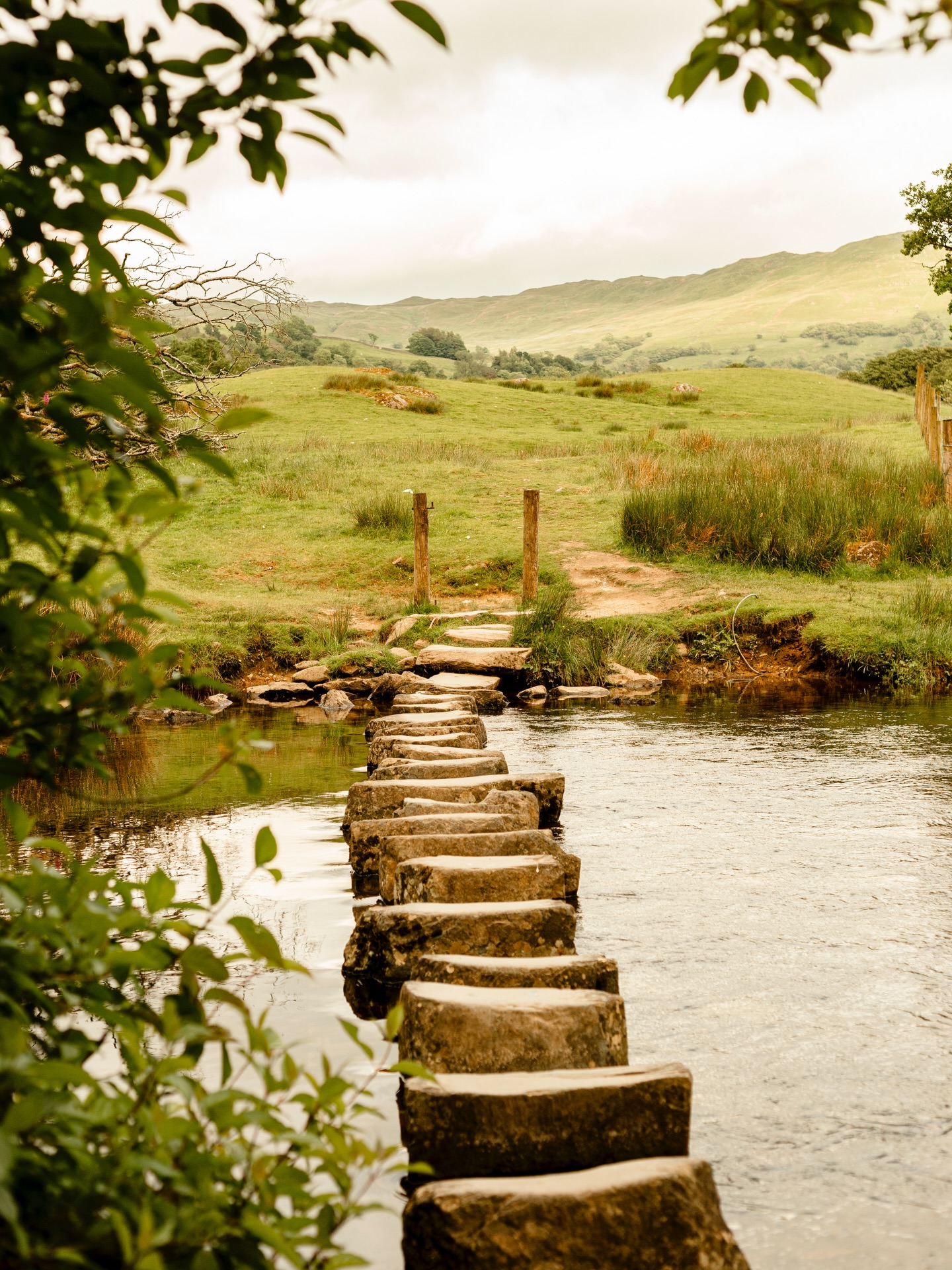 I’ve been thinking about this solo trip in the Lake District, while planning another escape in the region.
Any tips for hikes, cafes and restaurants in the area? 🌳
#lakedistrict #lakedistrictwalks