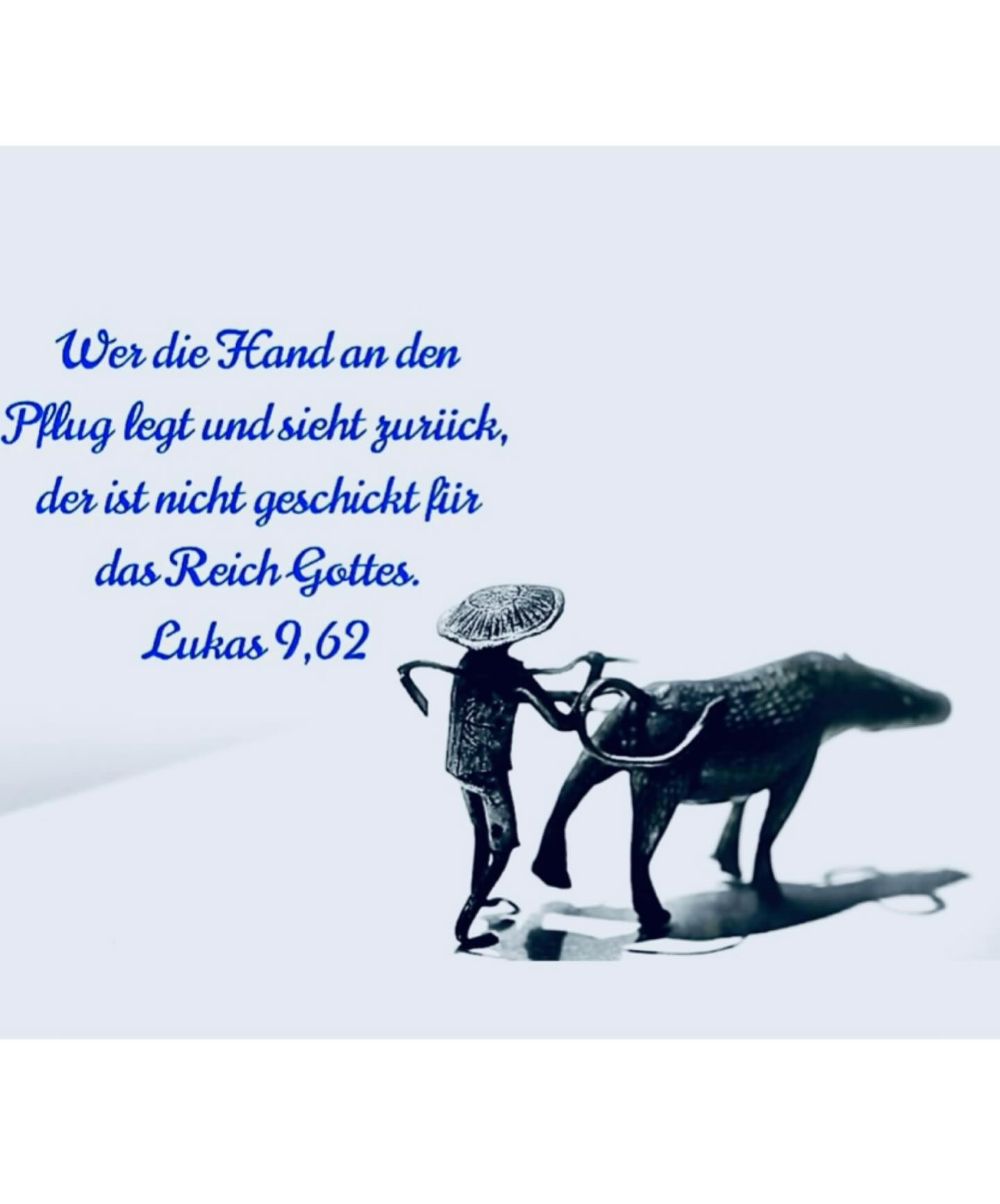 Allen einen gesegneten Start in die neue Woche!
Wochenspruch: