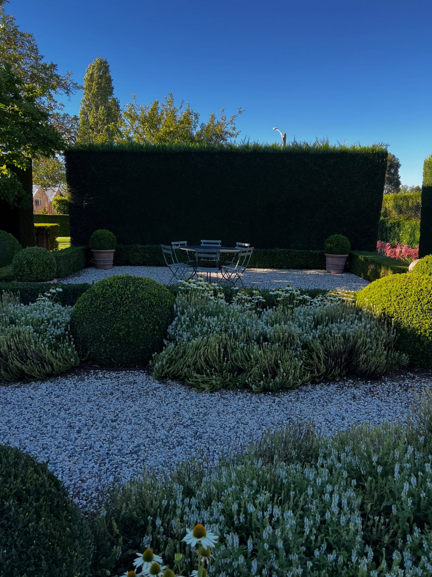The perfect spot for lunch (or breakfast, dinner or drinks) in the Parterre garden, surrounded by hedges, balls of Bucks, Salvia schneehugel and Echinacea……
Bookings via our website or @airbnb (note whilst we plan to close in May there’s a possibility we might remain open a little longer)…..
@visitmacedonranges
@piperstkyneton
#visitkyneton
#kynetonluxury
#oldrectory
#kynetonaccommodation
#kynetonweddingaccommodation