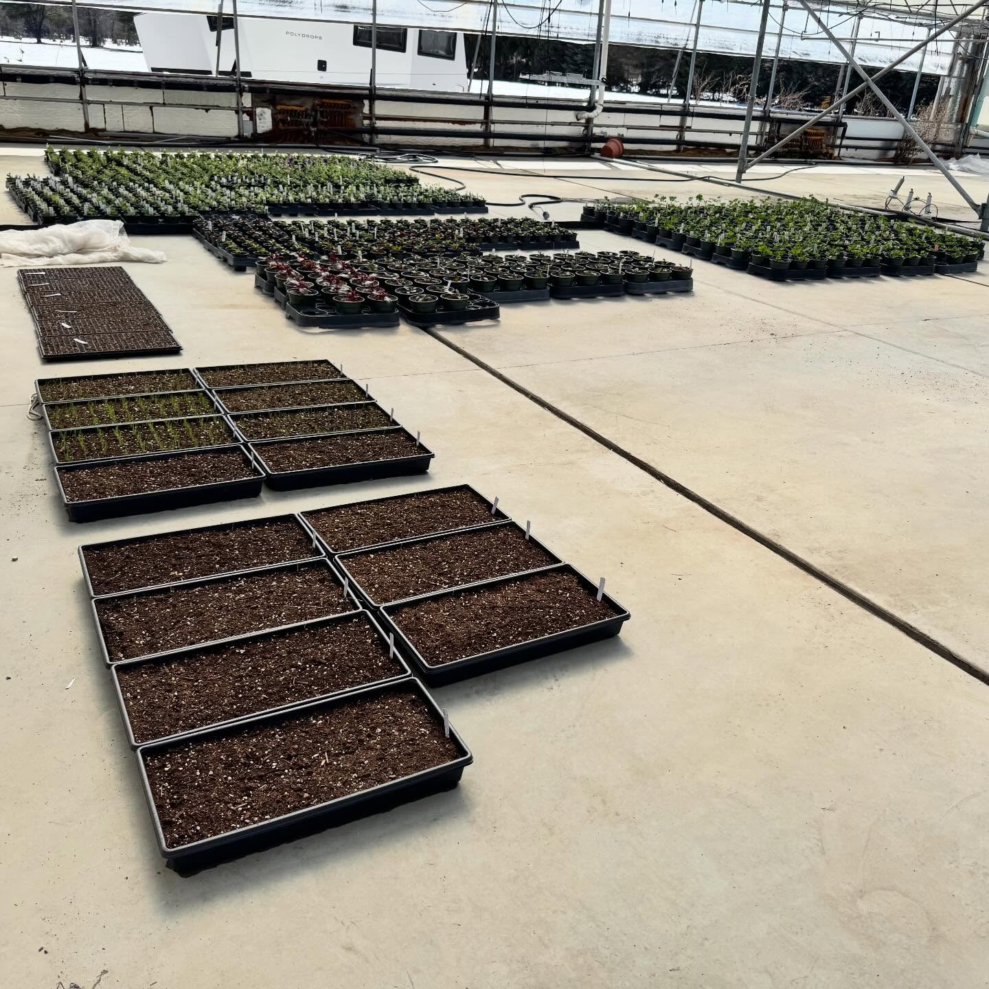 2026 so far 🌱