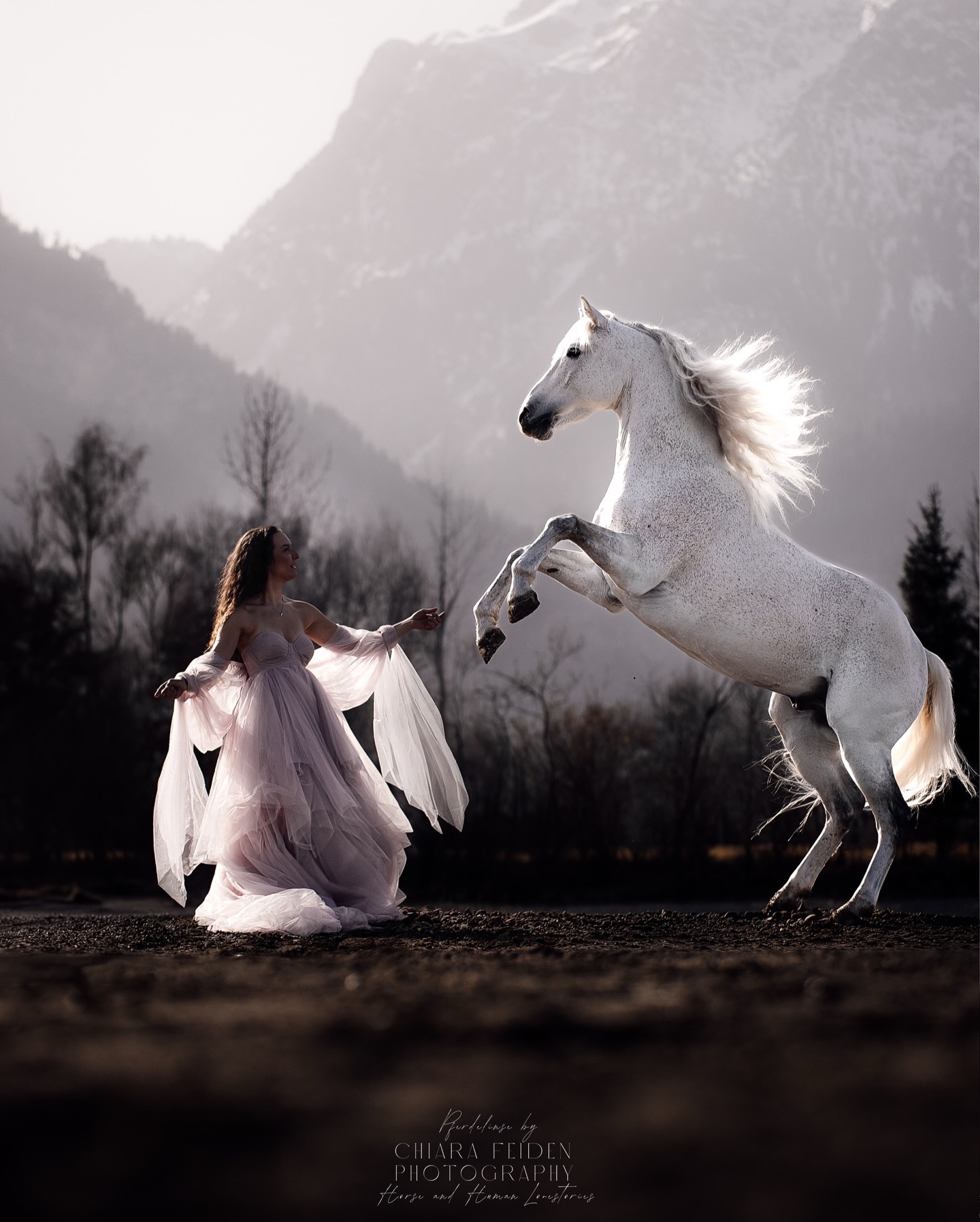 ALESSIA & FLÖPPO ✨🫶🏼
aka. der entspannteste Hengst aller Zeiten 🤍✨🦄
MOUNTAINLOVE PORTFOLIOTAG
🥹💓✨📸🫶🏼
(C)pferdelinse