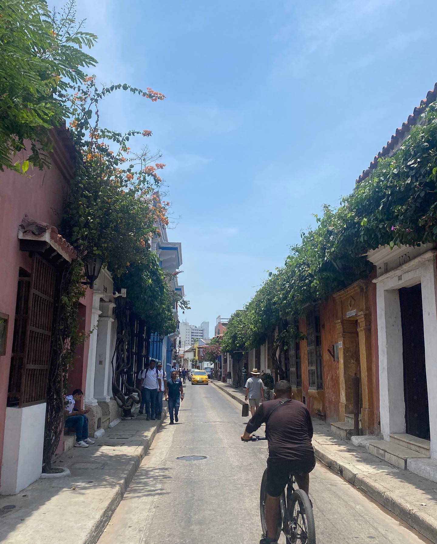 I spent my Semana Santa break in Cartagena, Salento, and MedellΓn. It was great to travel all throughout Colombia and see different regions and cities throughout the country. With beaches in Cartagena, coffee farms in Salento, and colorful murals in MedellΓn, there really is so much Colombia has to offer! Working on getting caught up on my blogs, and hoping to get them posted to the link in my bio as soon as possible.
βββββββββββββββββββ
#mikesworldtour #salento #coffee #cocoravalley #cartagena #medellin #comuna13 #parquearvi #colombia #travel #travelbetterlivebetter #travelgram #travelblogger #instatravel #travelholic #travelblog #travelingram #travelcolombia #visitmedellin #visitcartagena #coffeeregion #traveldeeper #traveldiaries #travelcommunity #travelpics #travelmore #traveltheworld #travelworld #travelguide #travelphotographer