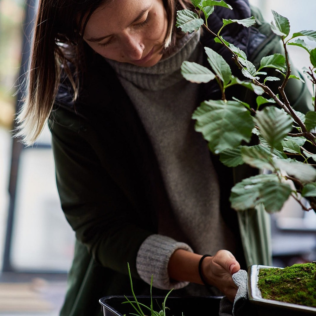 Beginners Bonsai Workshop