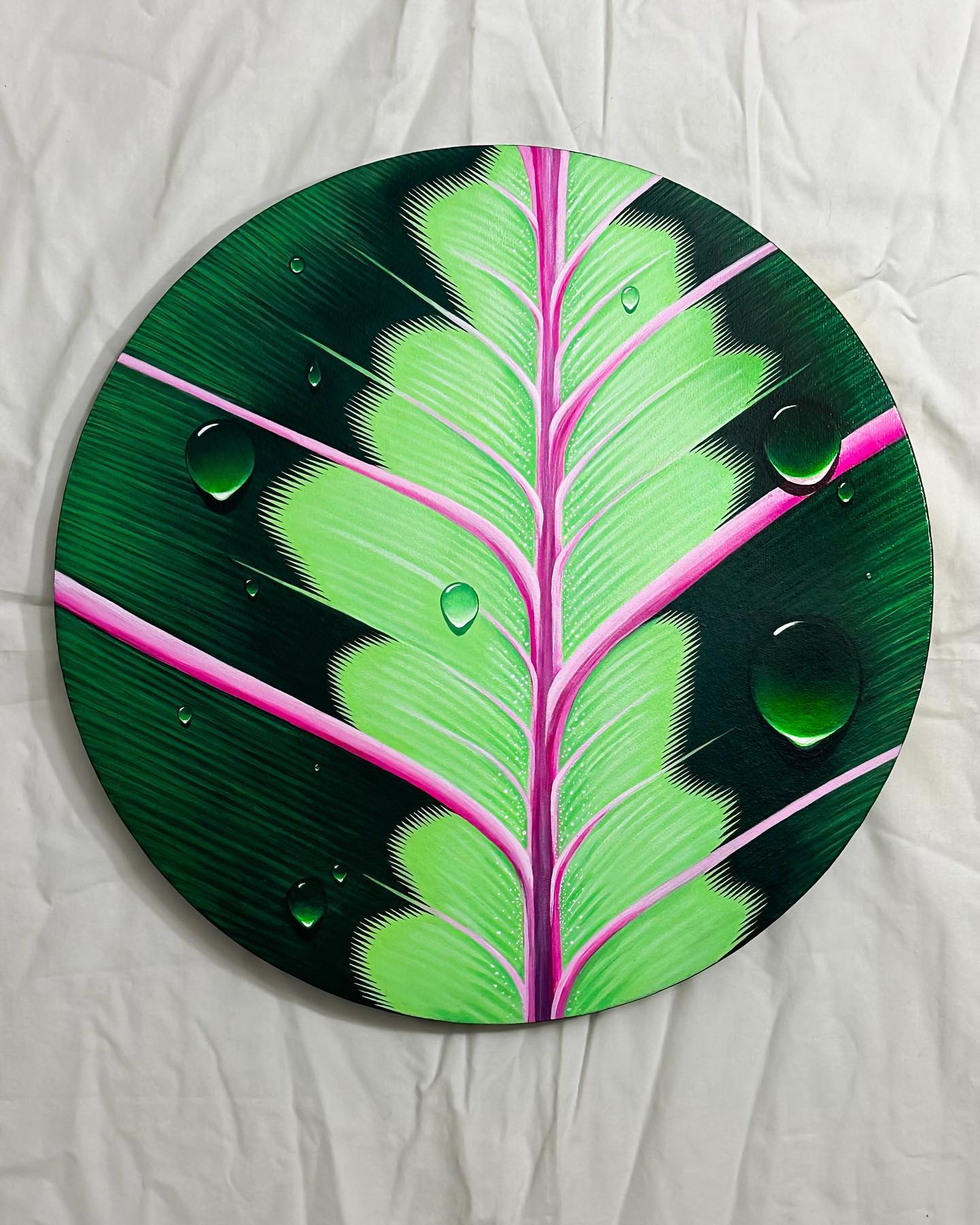 Painting #2 from my Morning Dew collection
Doris 🍃
16” round | Acrylic On Cavas
This piece is a close-up of the leaf of a prayer plant (Maranta leuconeura). I find it interesting when human anatomy resembles nature, and chose to make the vibrant veins of this leaf the focal point for that reason. Where a close up of this leaf makes me think of biology/science, seeing this plant in action with its moving ‘prayer’ leaves may make you think opposite of science.
~Read more about this collection on my website linked in my bio~