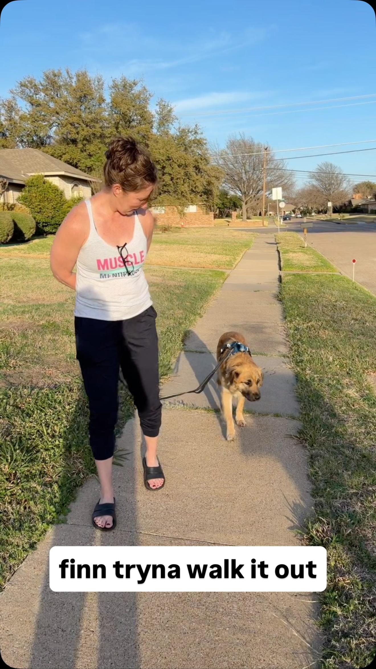 finn is feeling better 🙏 thank God!
but we gots some work to do on our leash walking. made it to the neighbor’s mailbox 📫 😂
and of course we had to stop for pets 🐶
#dogsofinstagram #rescueddogsofinstagram #finnthewonderdog #dogmom #walkitout