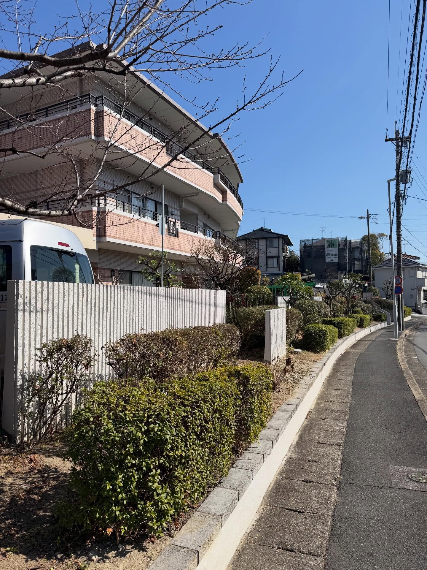 毎年春の訪れと共に
