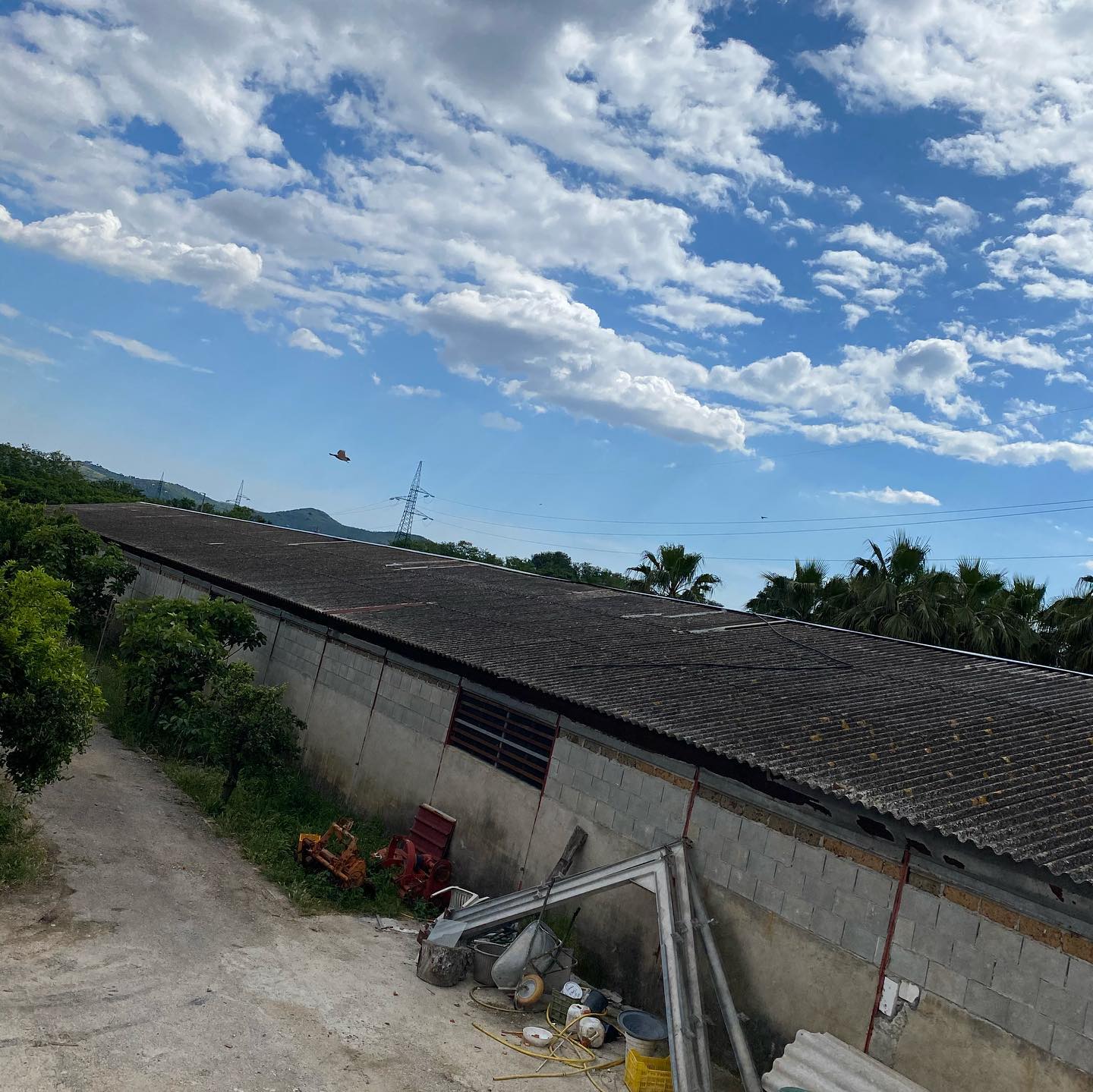 Lavori di bonifica e rifacimento coperture capannoni industriali. Teano (CE) #guttoriellocostruzioni #work #job #impresaedile #building #instagram