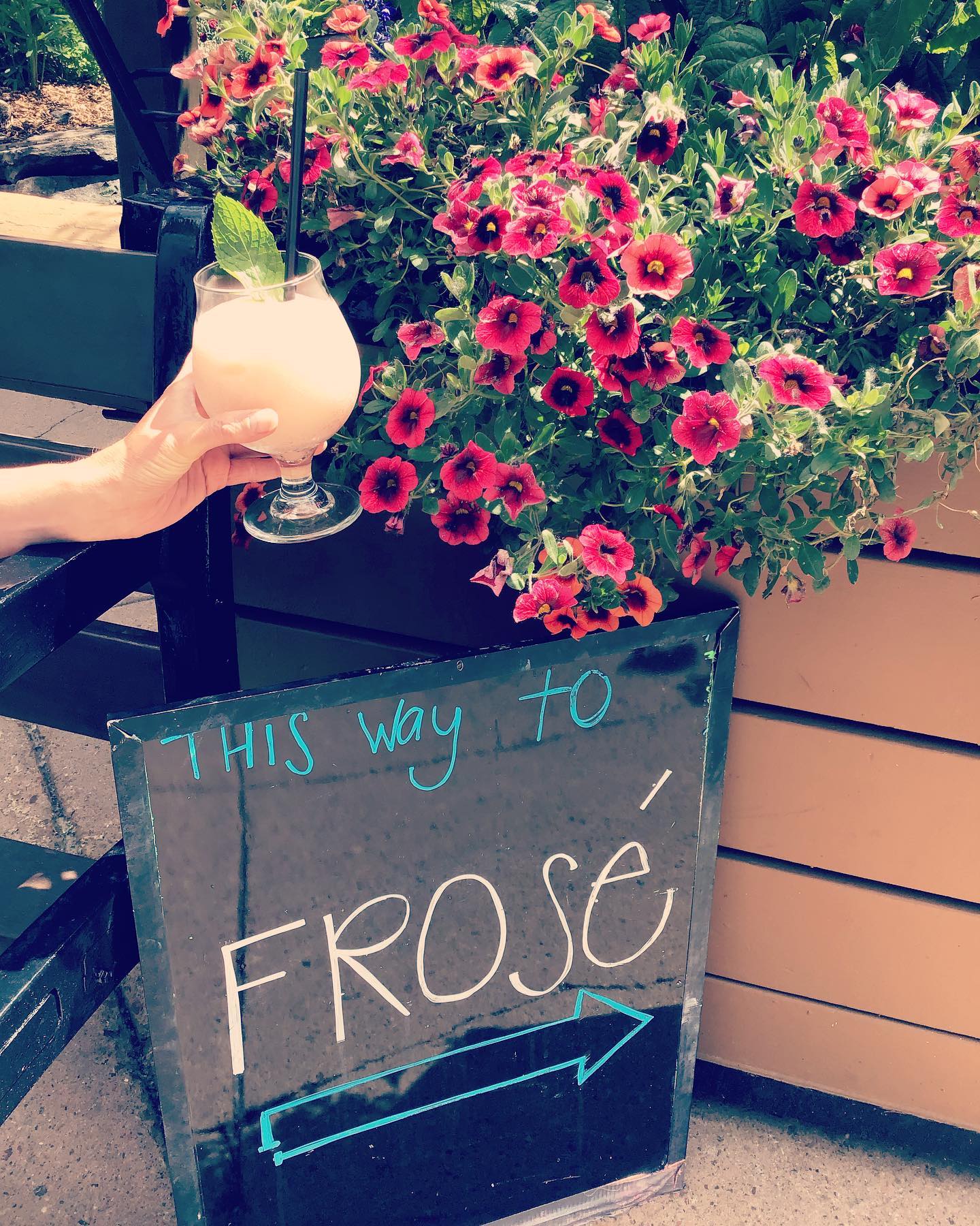 It is the perfect summer day to enjoy a glass of organic frosé, come to the stewpot, and play! 🌸🍷🍵🌷🌞 #gosnowmass #aspensnowmass #stewpot #stewpotsnowmass #snowmassfood #snowmassmall #frose #snowmass