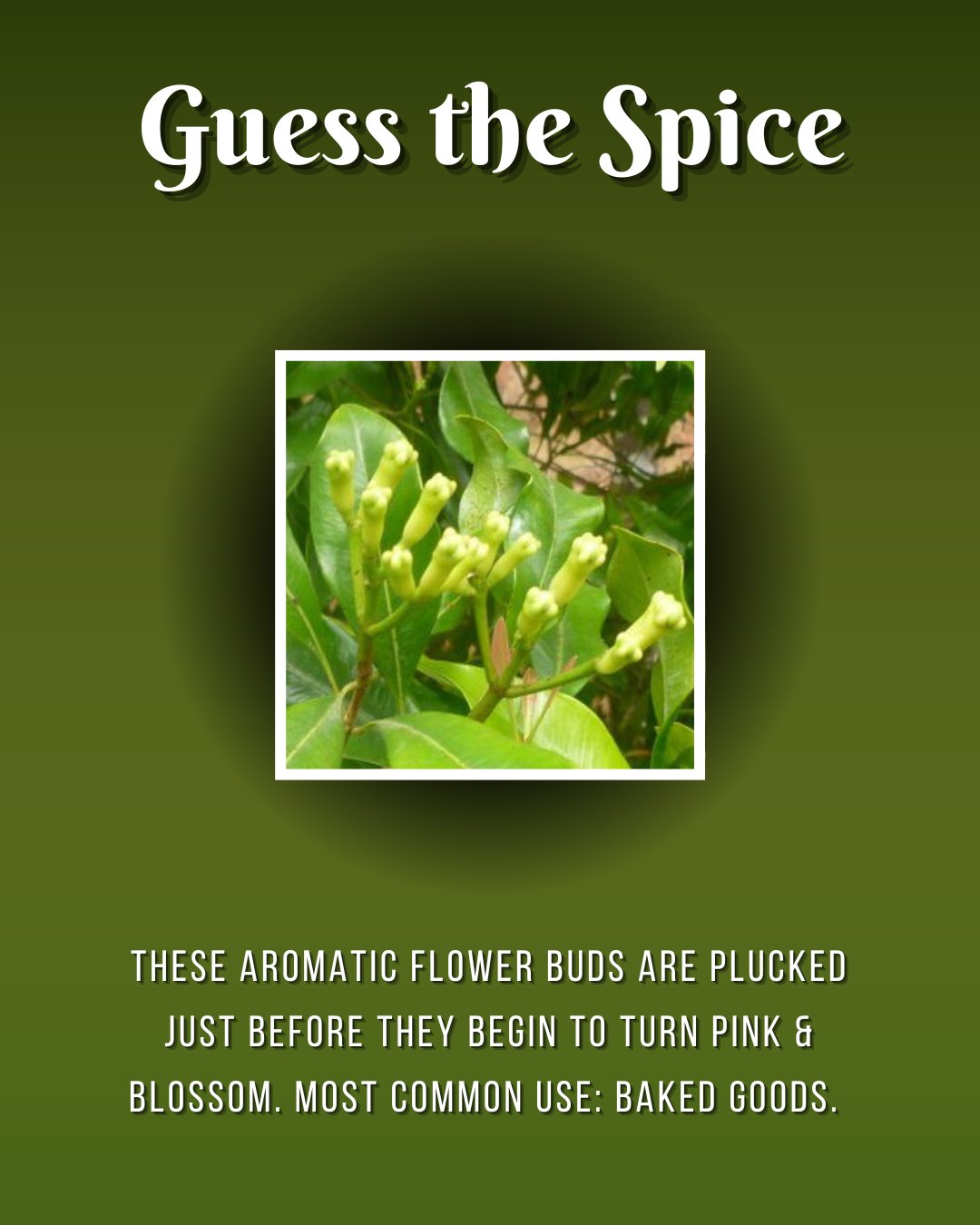 Often used to "Stud a ham" , think pin head... but less scary.