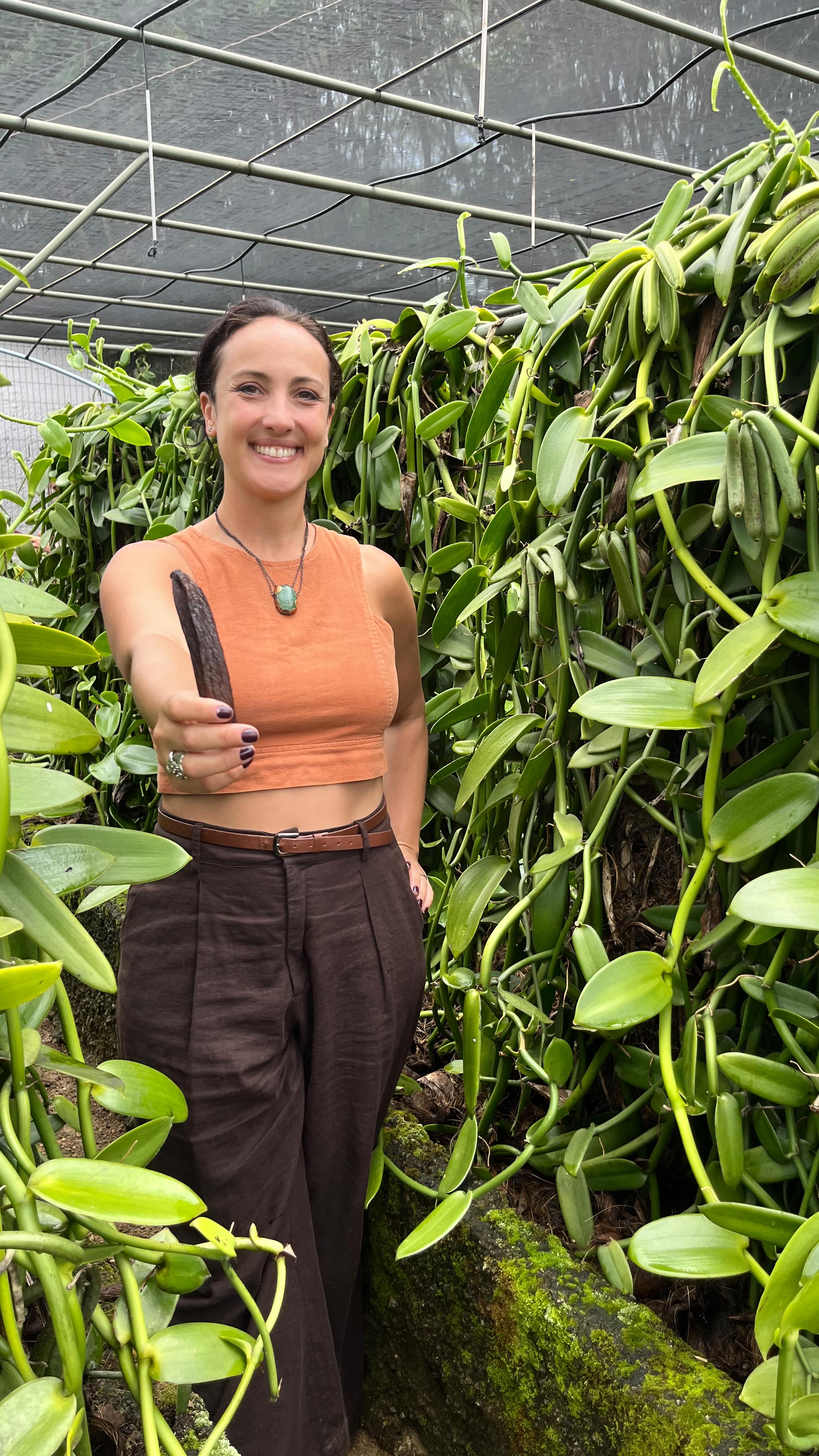 🇧🇷BAUNILHA BRASILEIRA - ORQUÍDEA TREPADEIRA. Você sabia que o Brasil tem a maior diversidade de Baunilhas do mundo? Após o congresso de jardim Naturalista em Brasília, aproveitamos para conhecer os produtores de baunilhas nativas do @valedotorto .
.
Foi um dia de muito aprendizado e saí ainda mais maravilhada com a nossa flora brasileira. Agradecimento especial à @emiliawolf que viabilizou esta visita, e ao Rubens e Alice que nos receberam com tanta gentileza 💚🌿
{para comprar MUDAS, essência ou fava, entre em contato com o @valedotorto }
.
🇬🇧BRAZILIAN VANILLA - Did you know that Brazil has the greatest diversity of vanilla varieties in the world? After the Naturalist Garden Congress in Brasília, we took the opportunity to visit the native vanilla producers of @valedotorto.
It was a day of great learning, and I left even more amazed by our Brazilian flora. Special thanks to @emiliawolf for making this visit possible, and to Rubens and Alice for receiving us with such kindness 💚🌿
#plantasbrasileiras #floranativa #orquídea #sustentabilidade