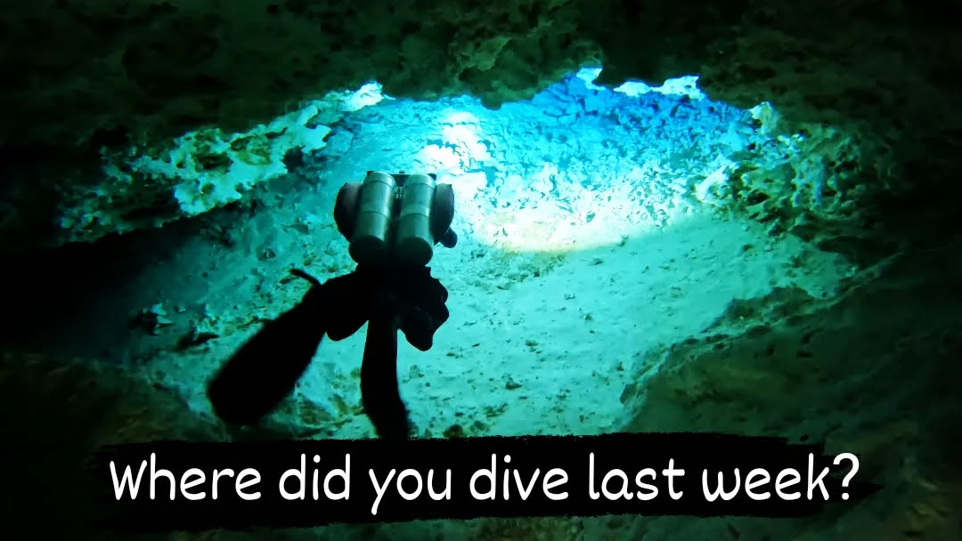 Where did you dive last week ?
Tell us about the places you enjoyed the most.
The pics above are from various caves around Tulum.
For more info get in touch...
#sidemountdiving #cenotes #cavediving #tdidivers #sdidivers @tdidivers @sdidivers @scubadivingmag