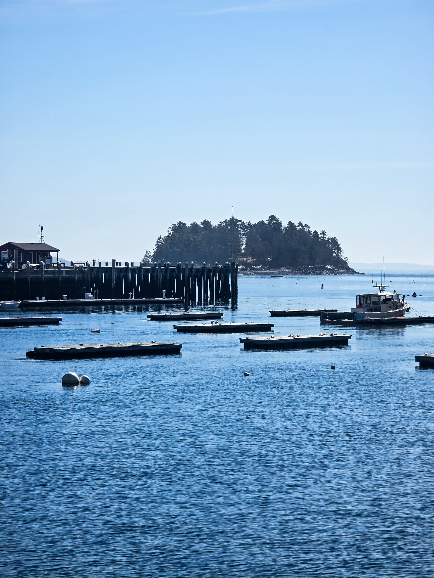 No jacket needed on a day like today!