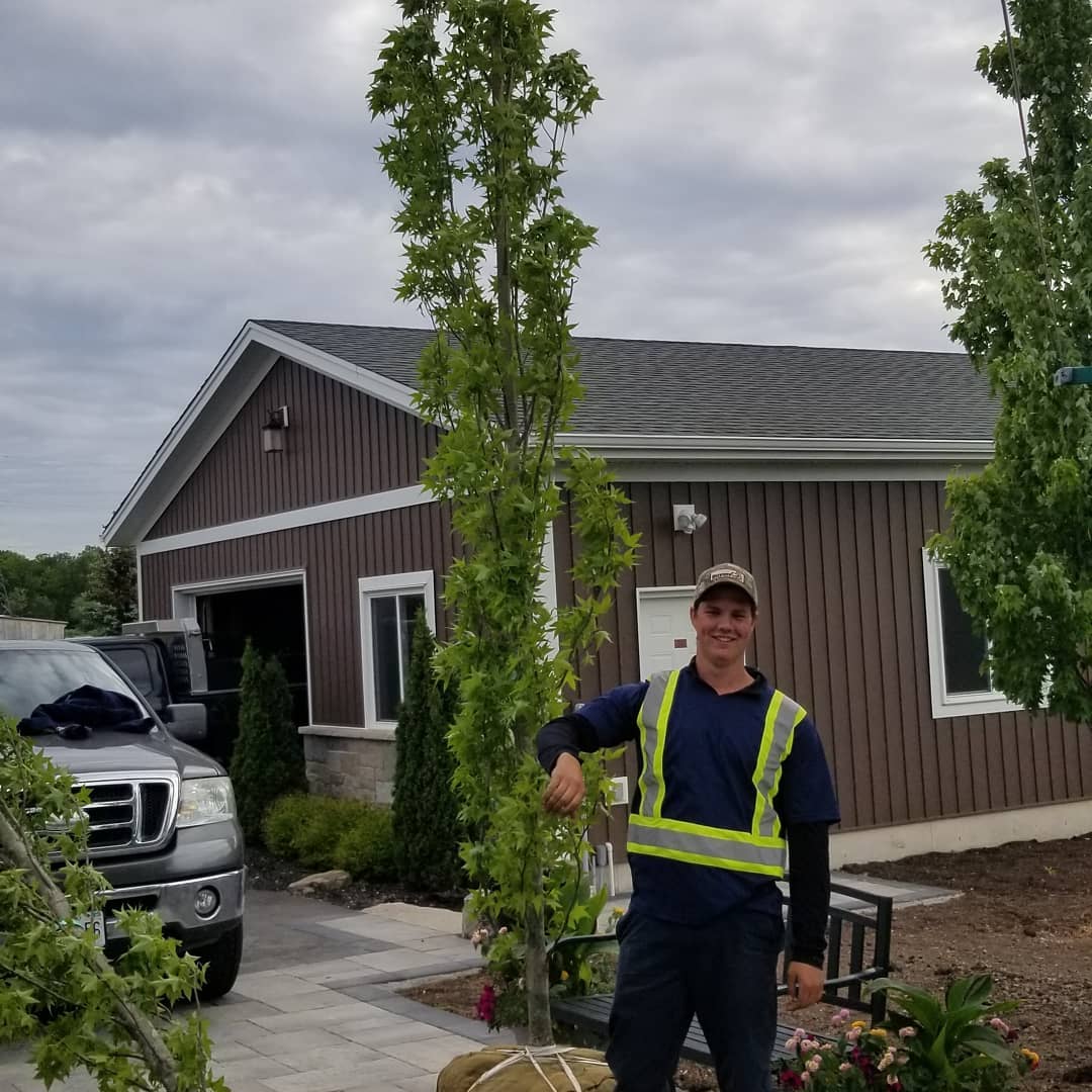 Trees going in next week. They're easily 17' tall! Hope you like them @nora_scott53 🙂
