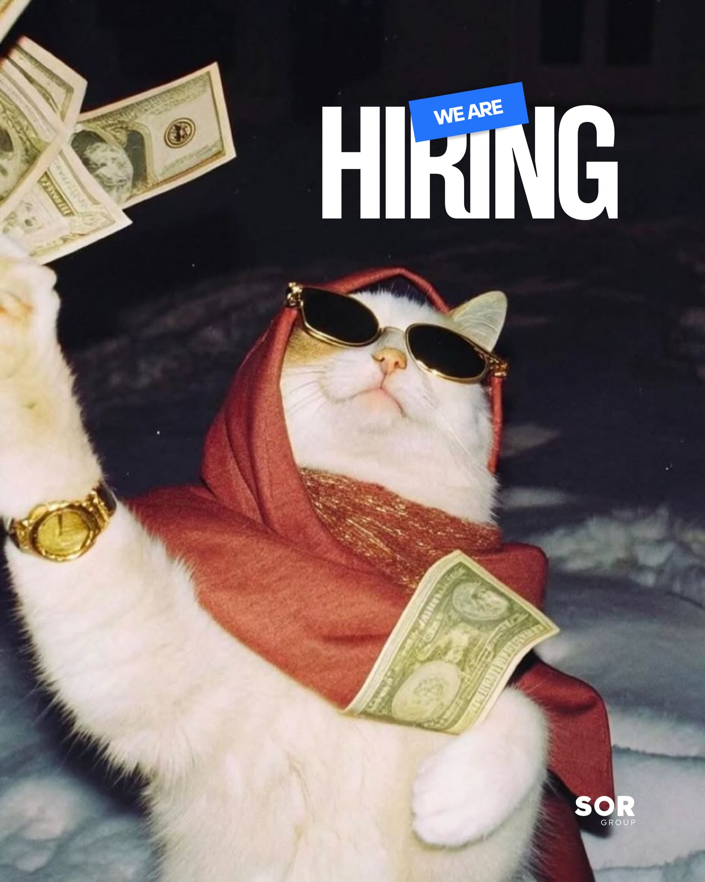 The SOR creative team is expanding.
Which means we’re looking for designers and editors who enjoy ideas, storytelling, and the occasional chaos of building things from the ground up.
We’re hiring for:
Creative Lead
Junior Graphic Designer
Video Editor
Graphic Design Intern
Send us your portfolio.
Details in the link in bio.