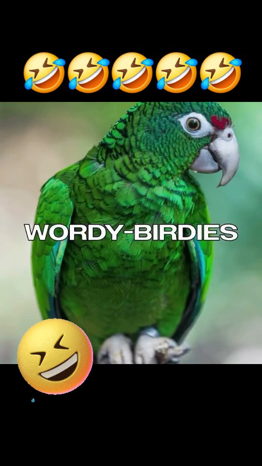 🤣🤣🤣🤣 @regretmaxxing TT: freddygruesum